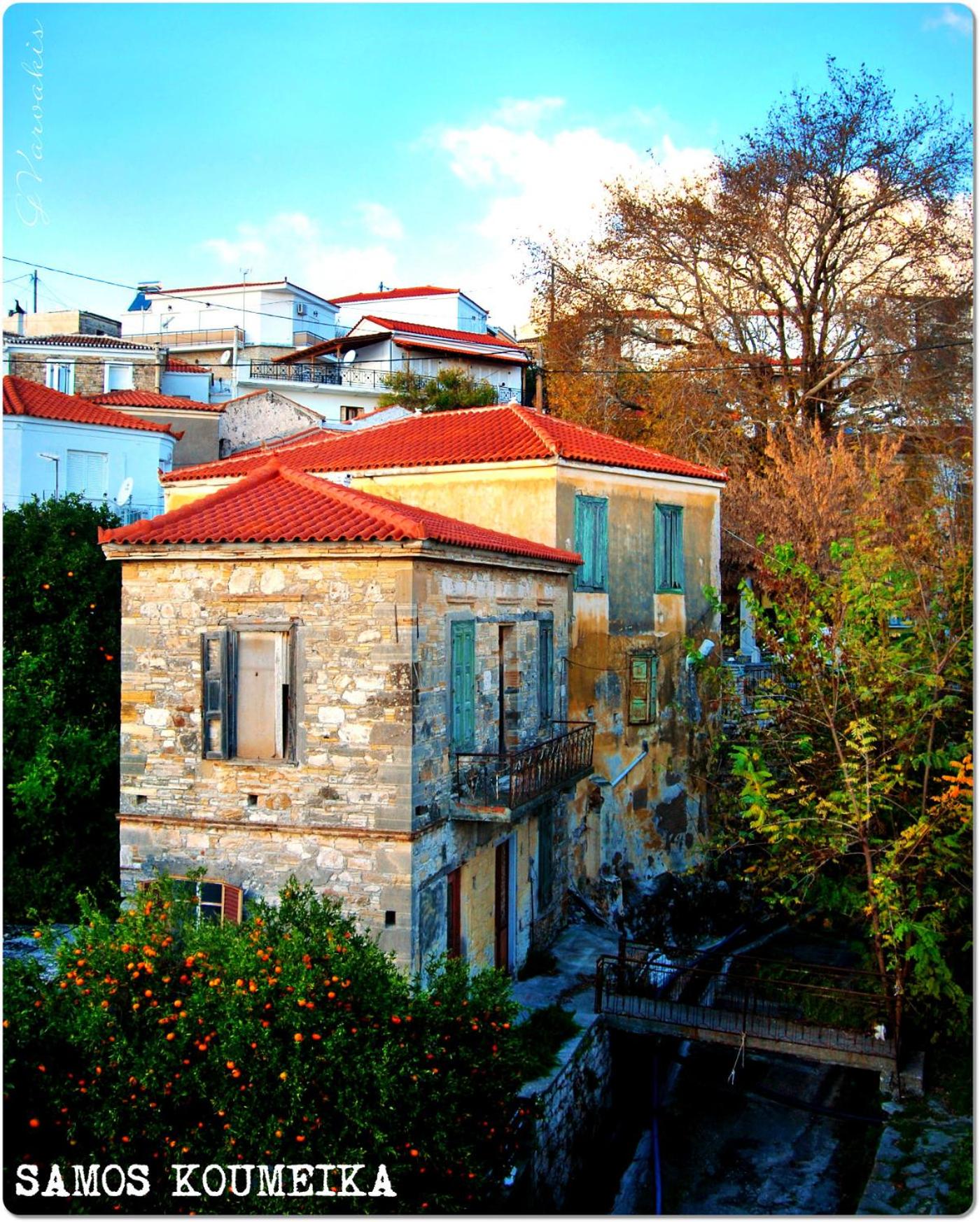 Photo 45