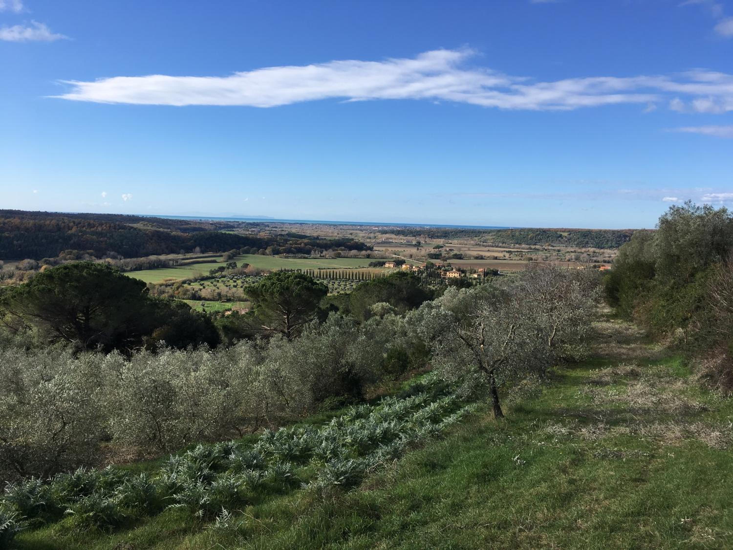 Agriturismo Le Serre view 3