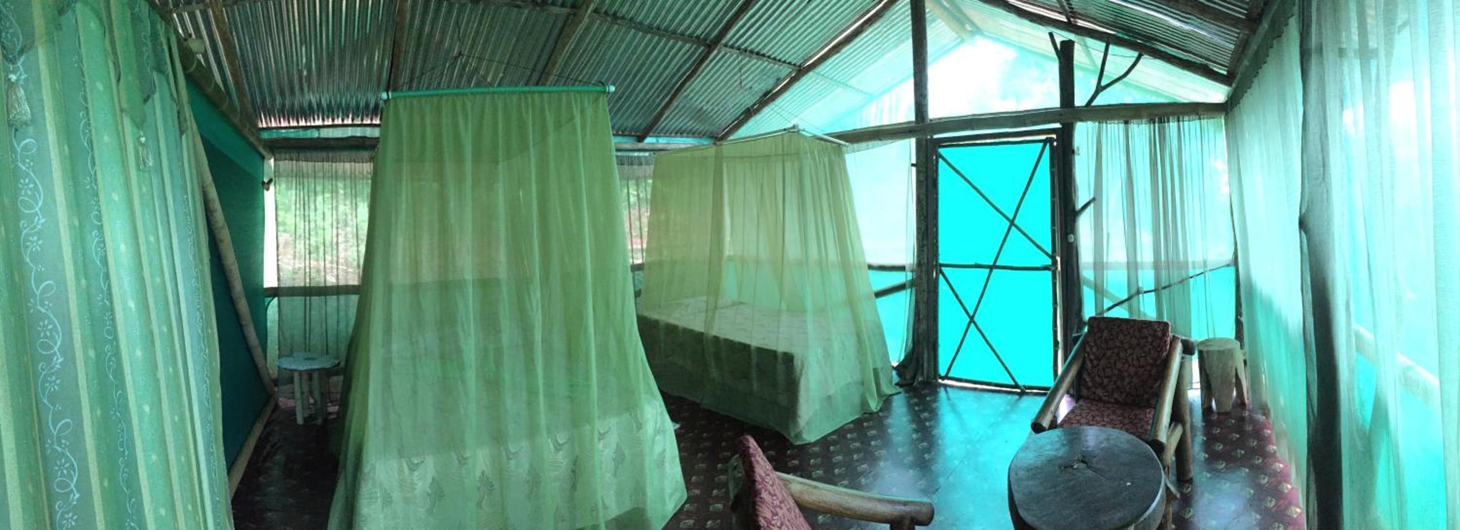 Isla Violin Eco-Lodge