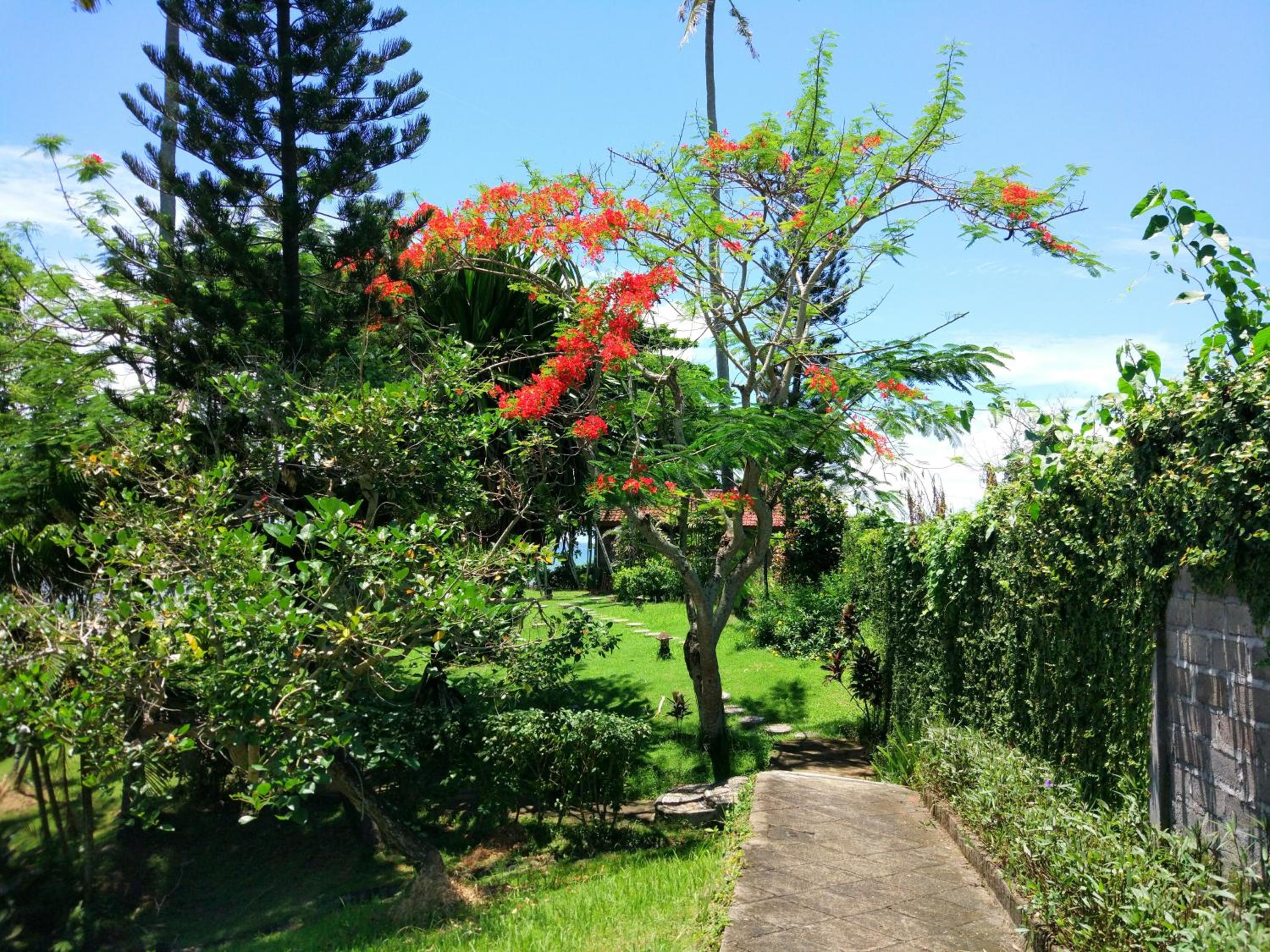 Gajah Mina Beach Resort 8
