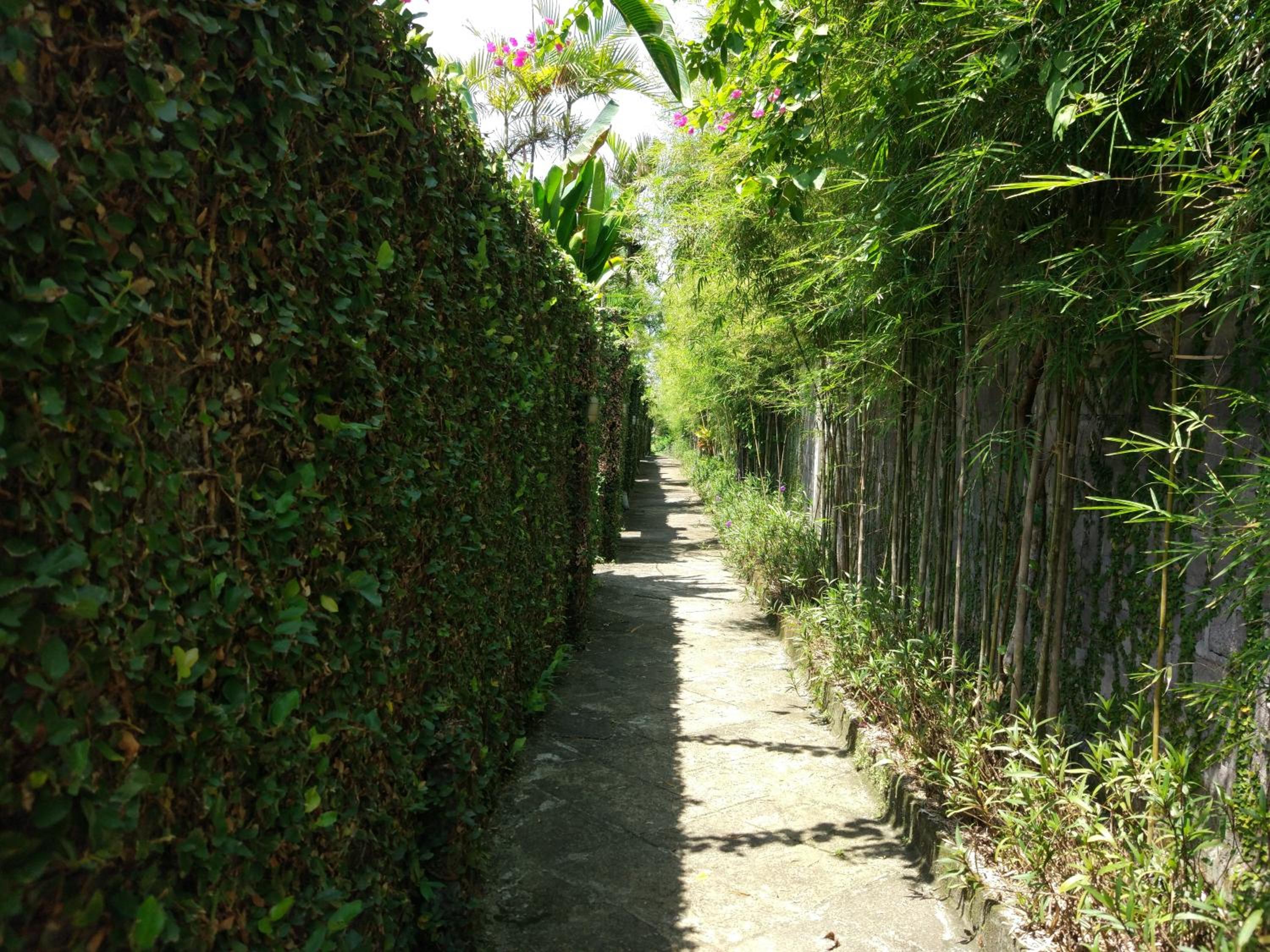 Gajah Mina Beach Resort 3