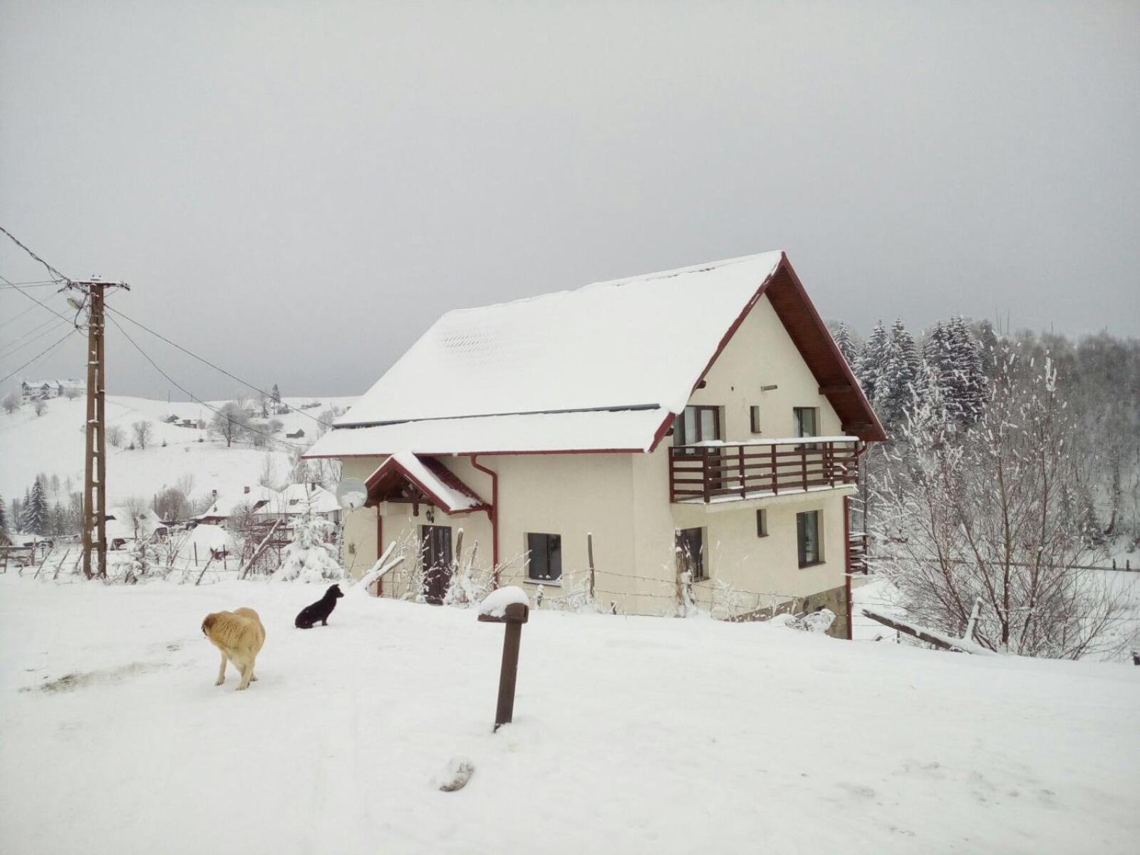 Photo 27