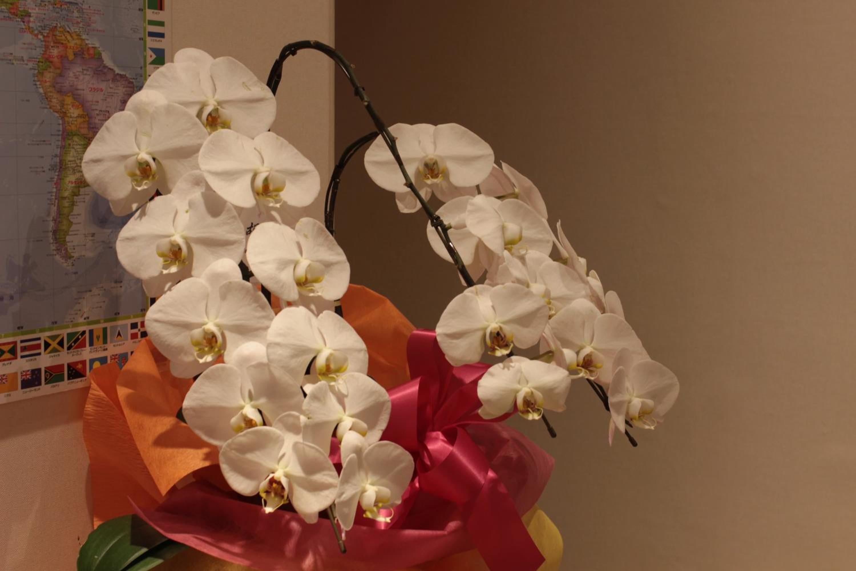 other