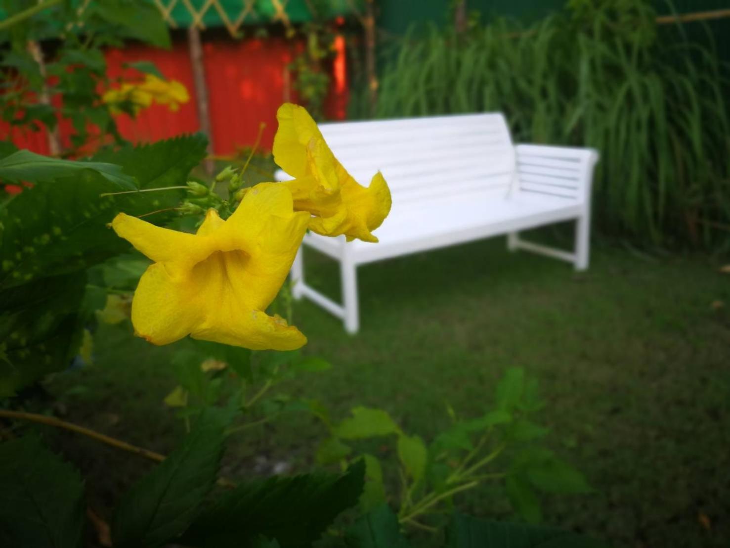 Barefeet Naturist Resort