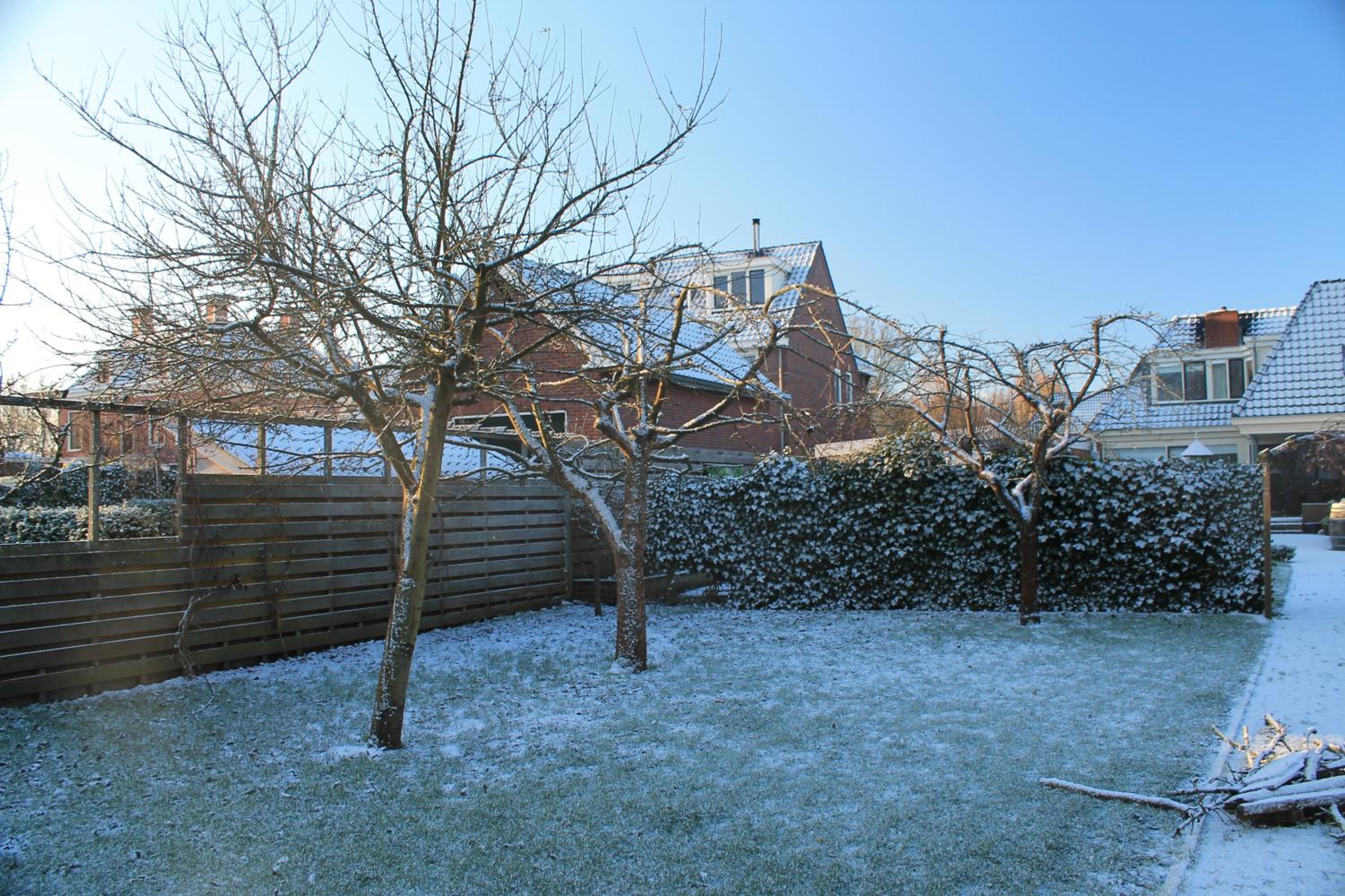Photo 14