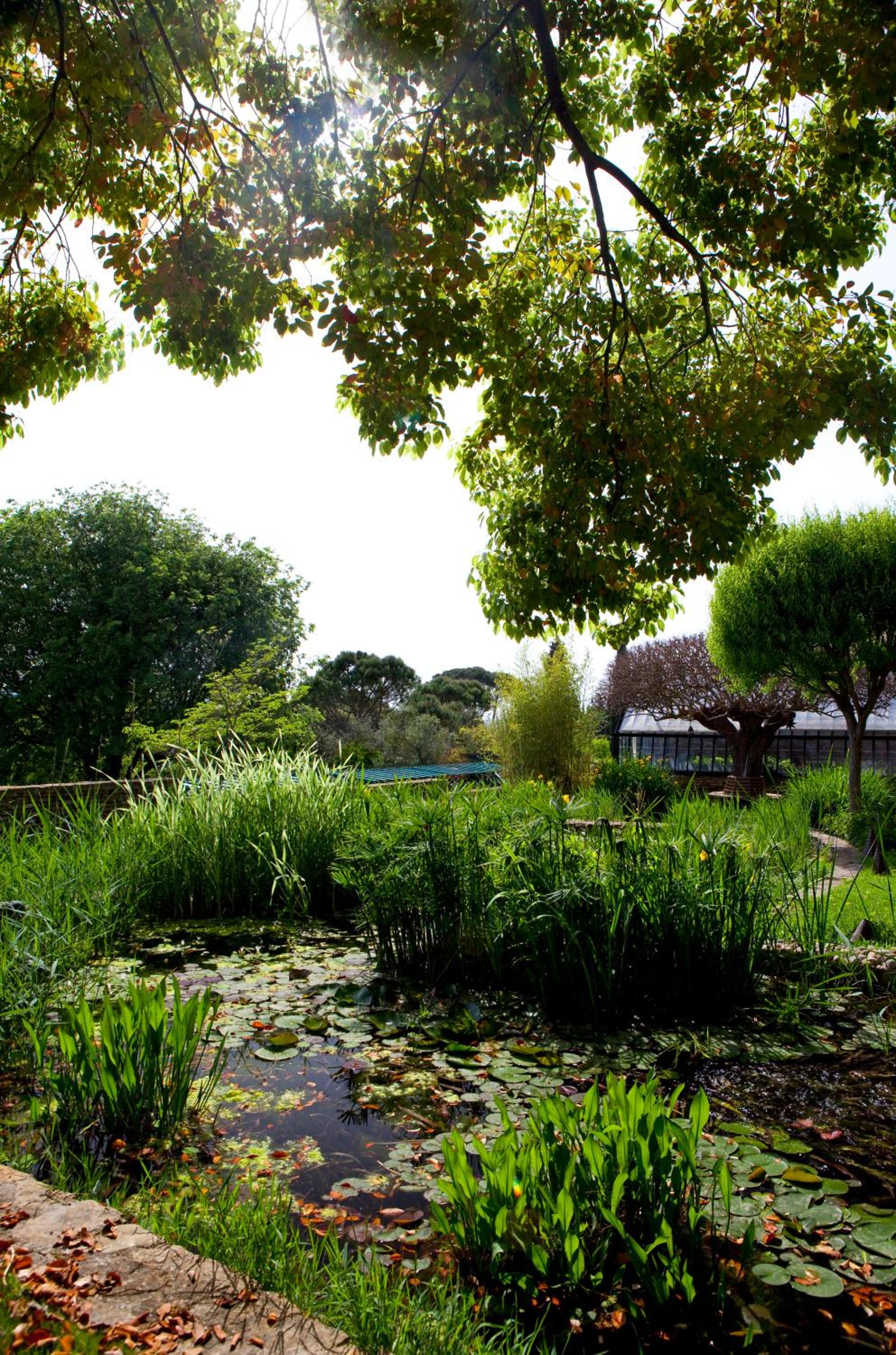 Casa Rosa