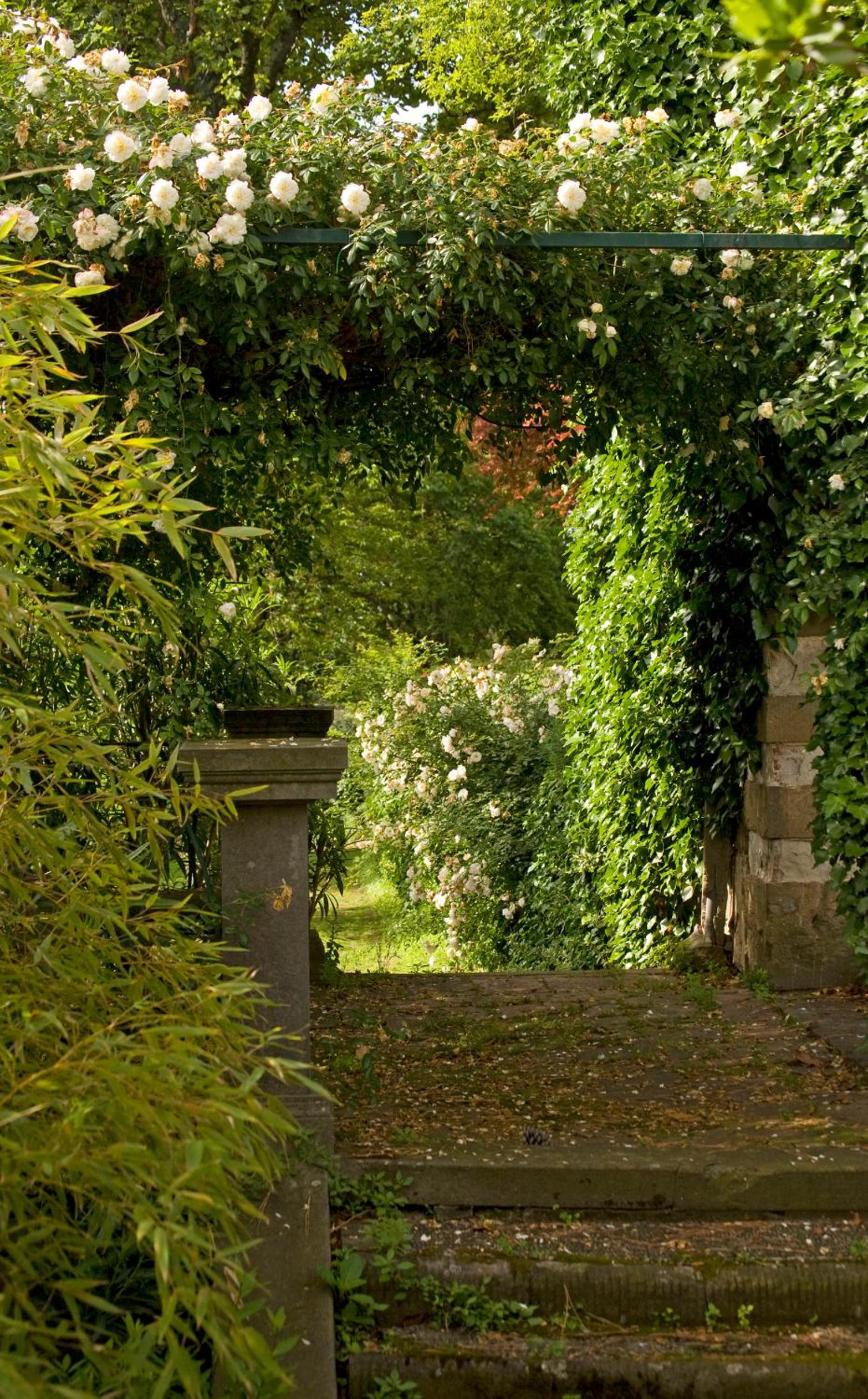 Casa Rosa