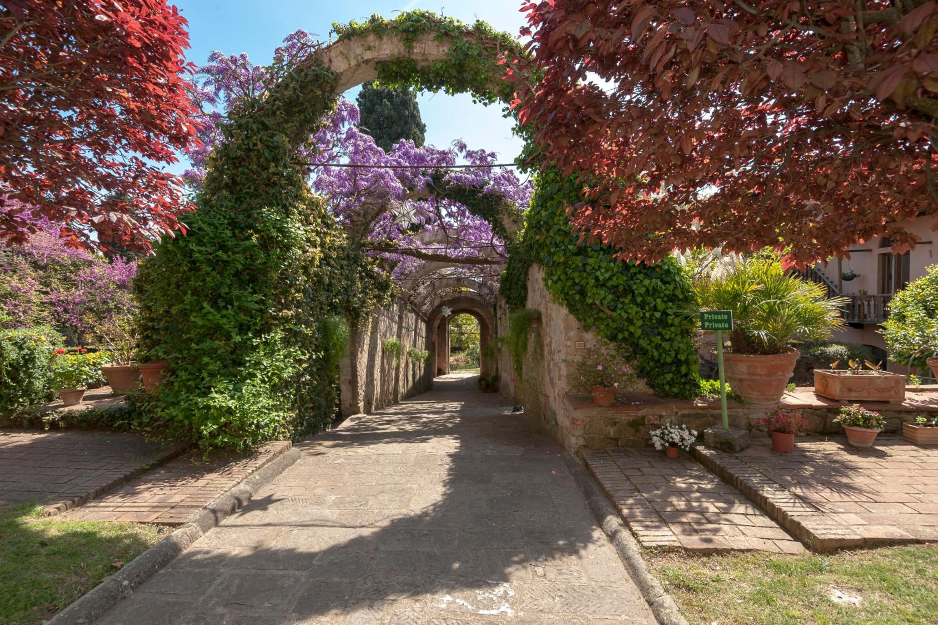 Casa Rosa