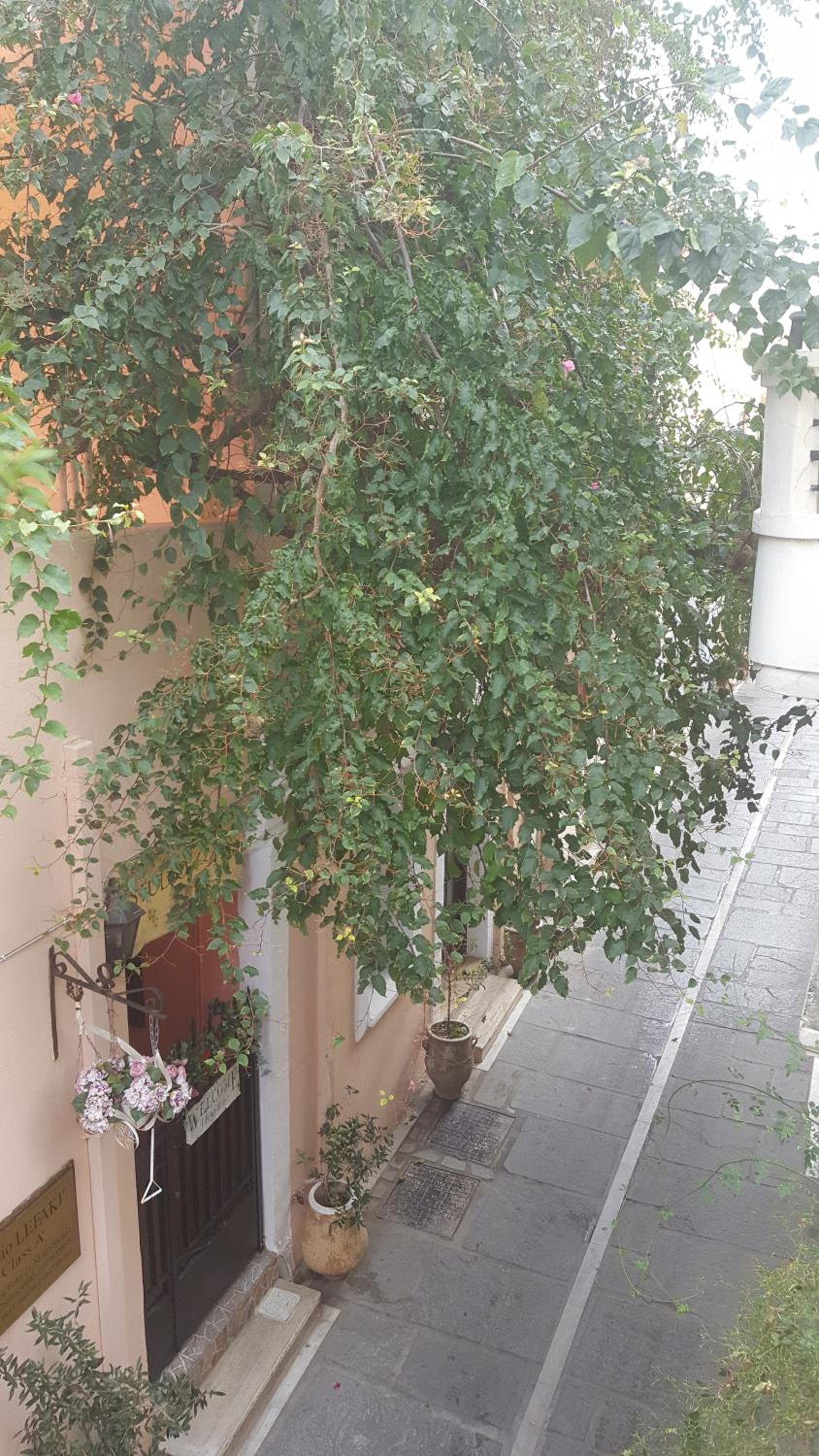 Studio Lefaki