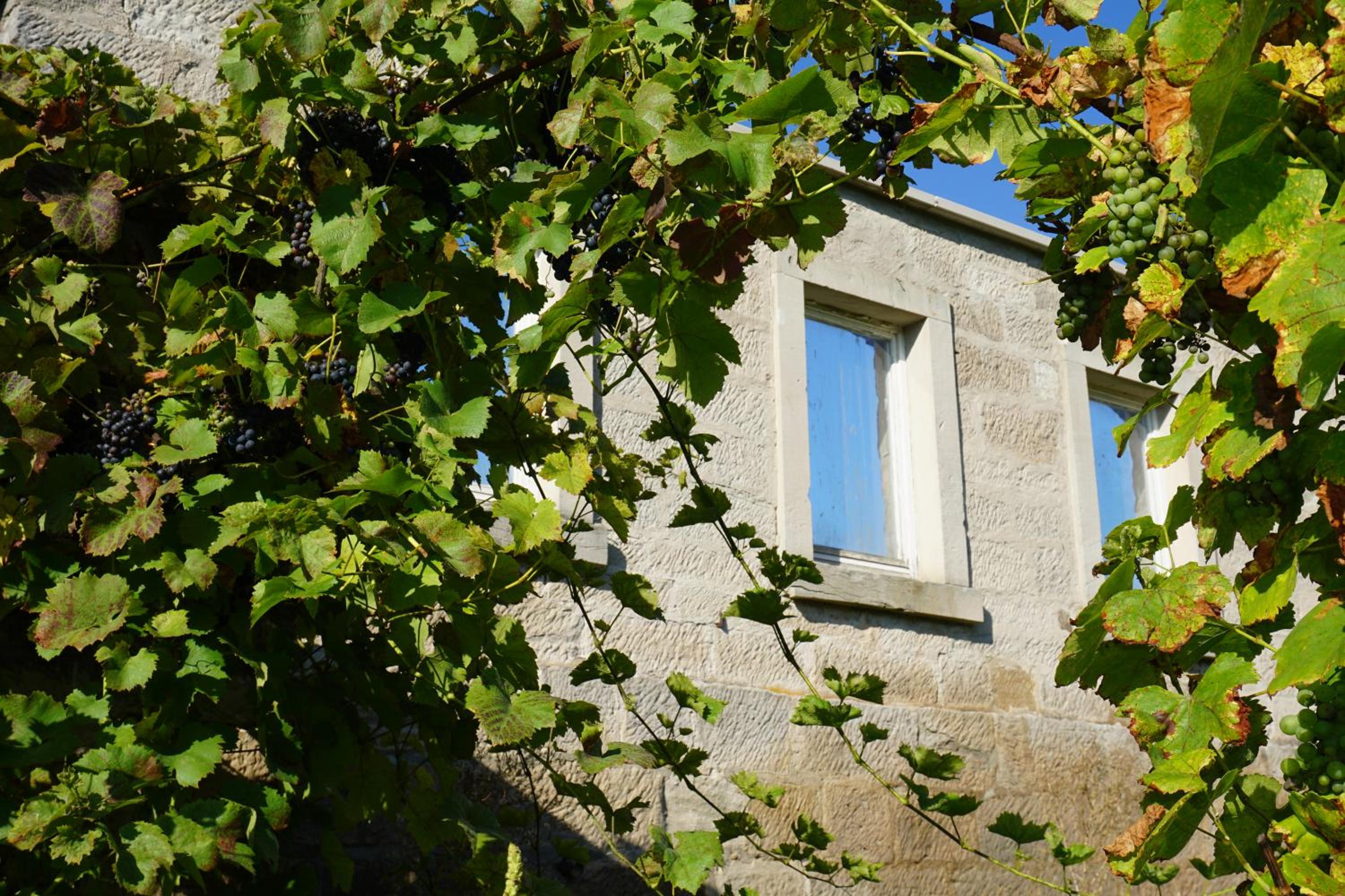 Photo 48