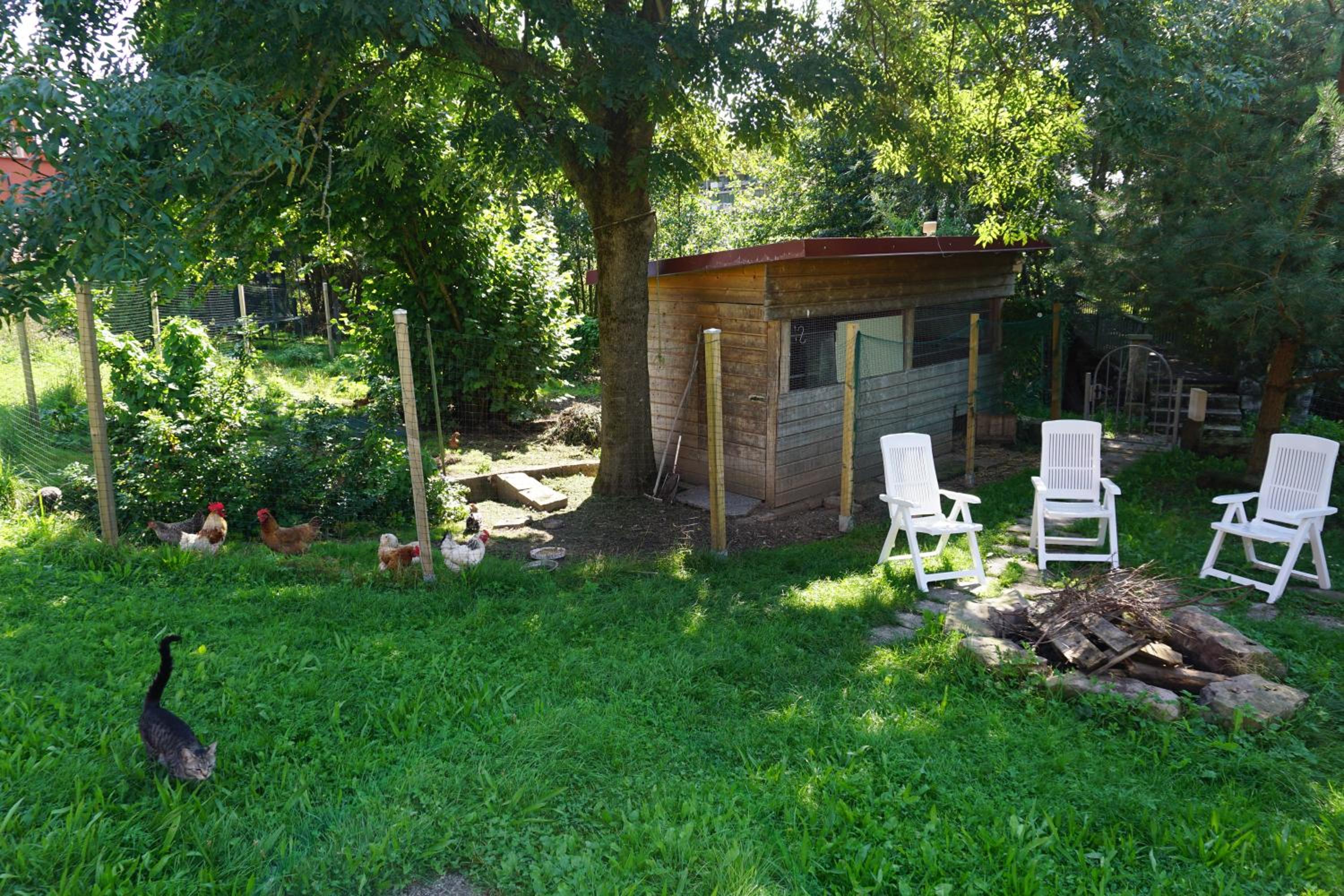 Photo 23