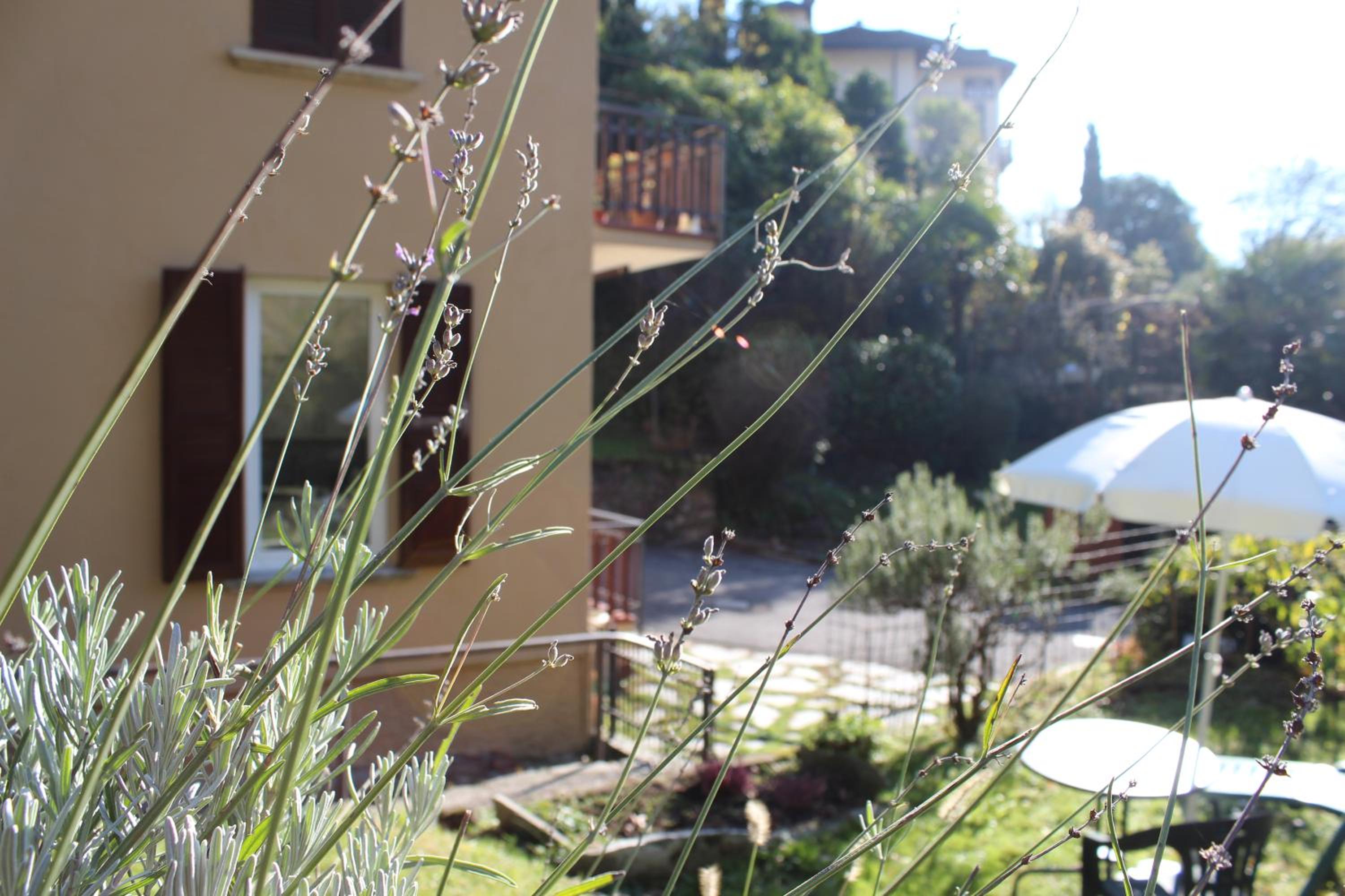 Atelier 55 Casa arte e natura view 3