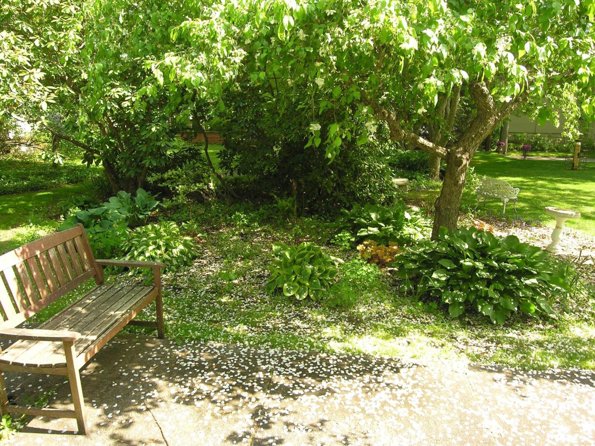 Photo 43