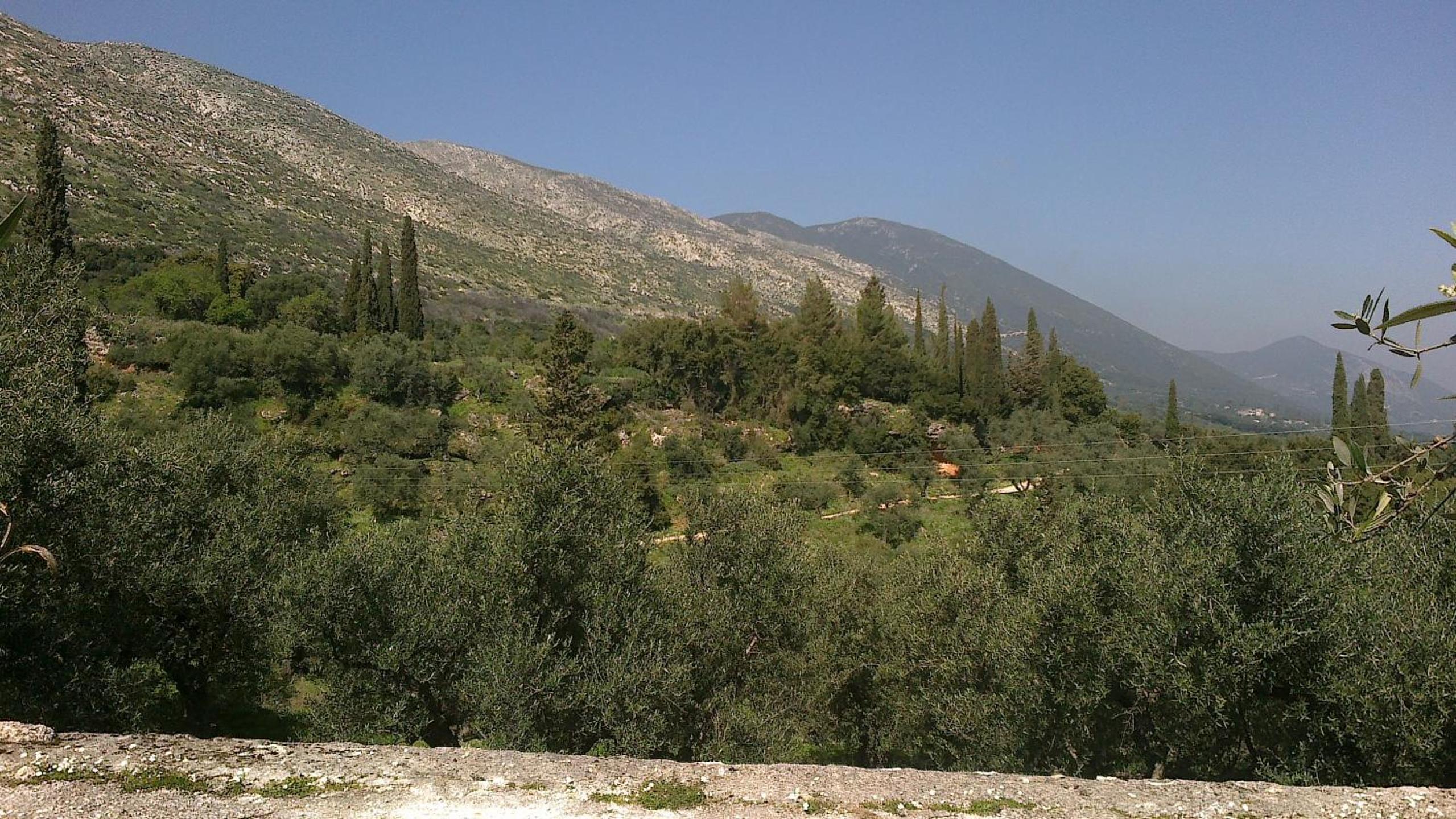 Photo 52