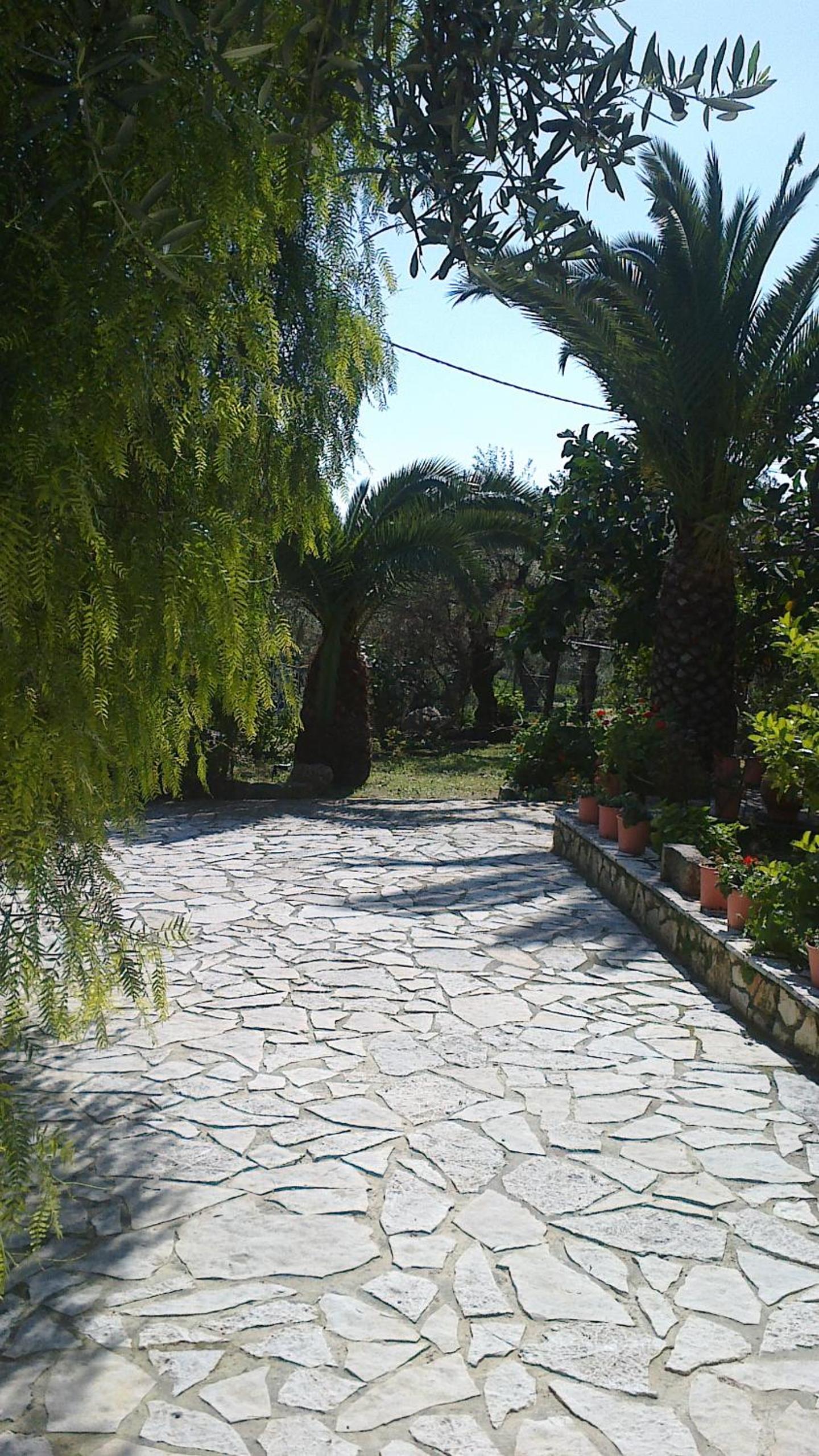 Photo 51