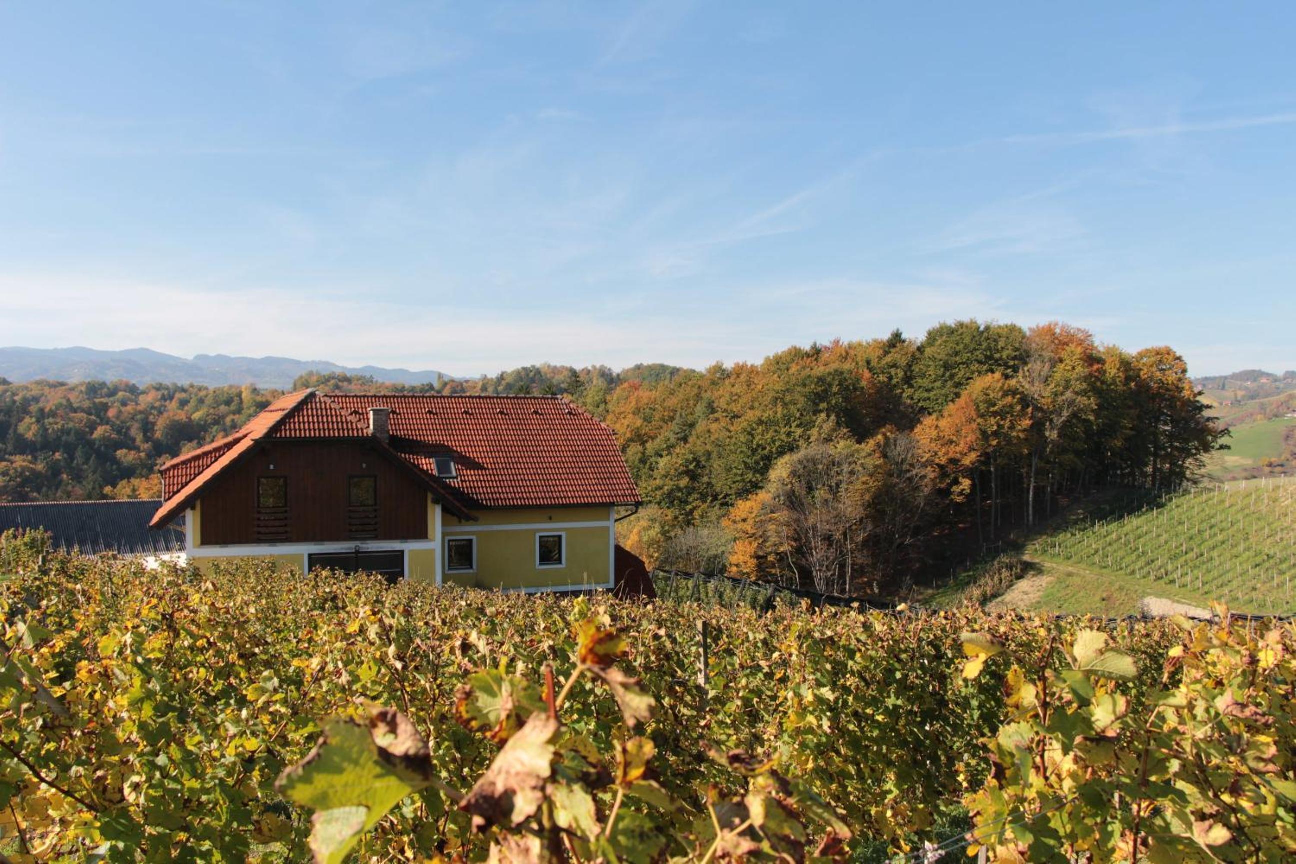 Vdovič Guest House view 2