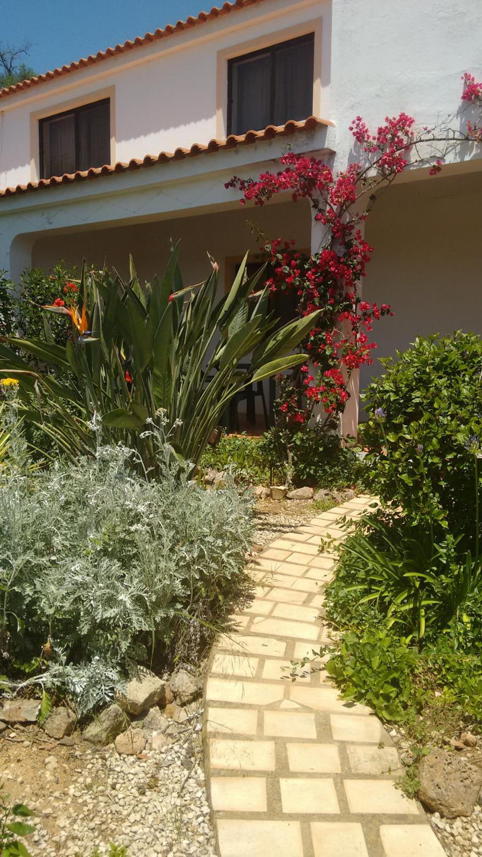 Photo 42