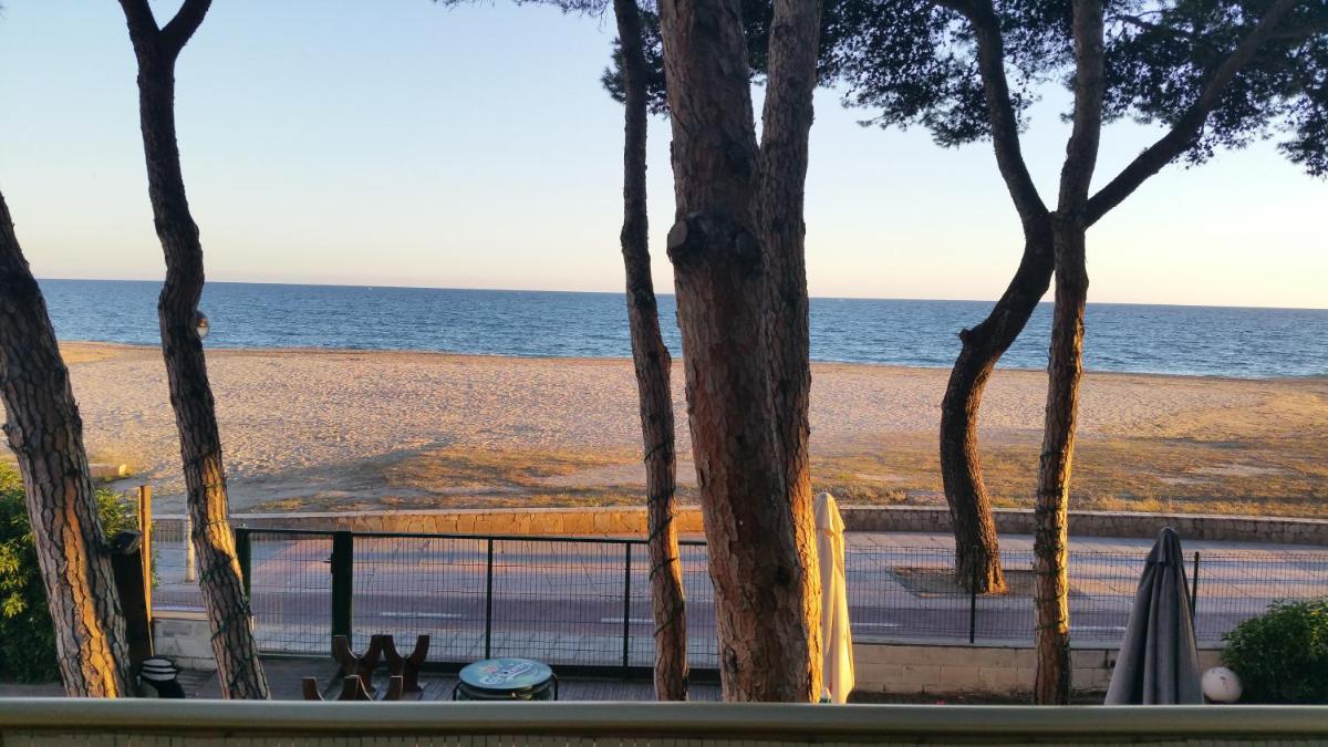 Playmar view 5