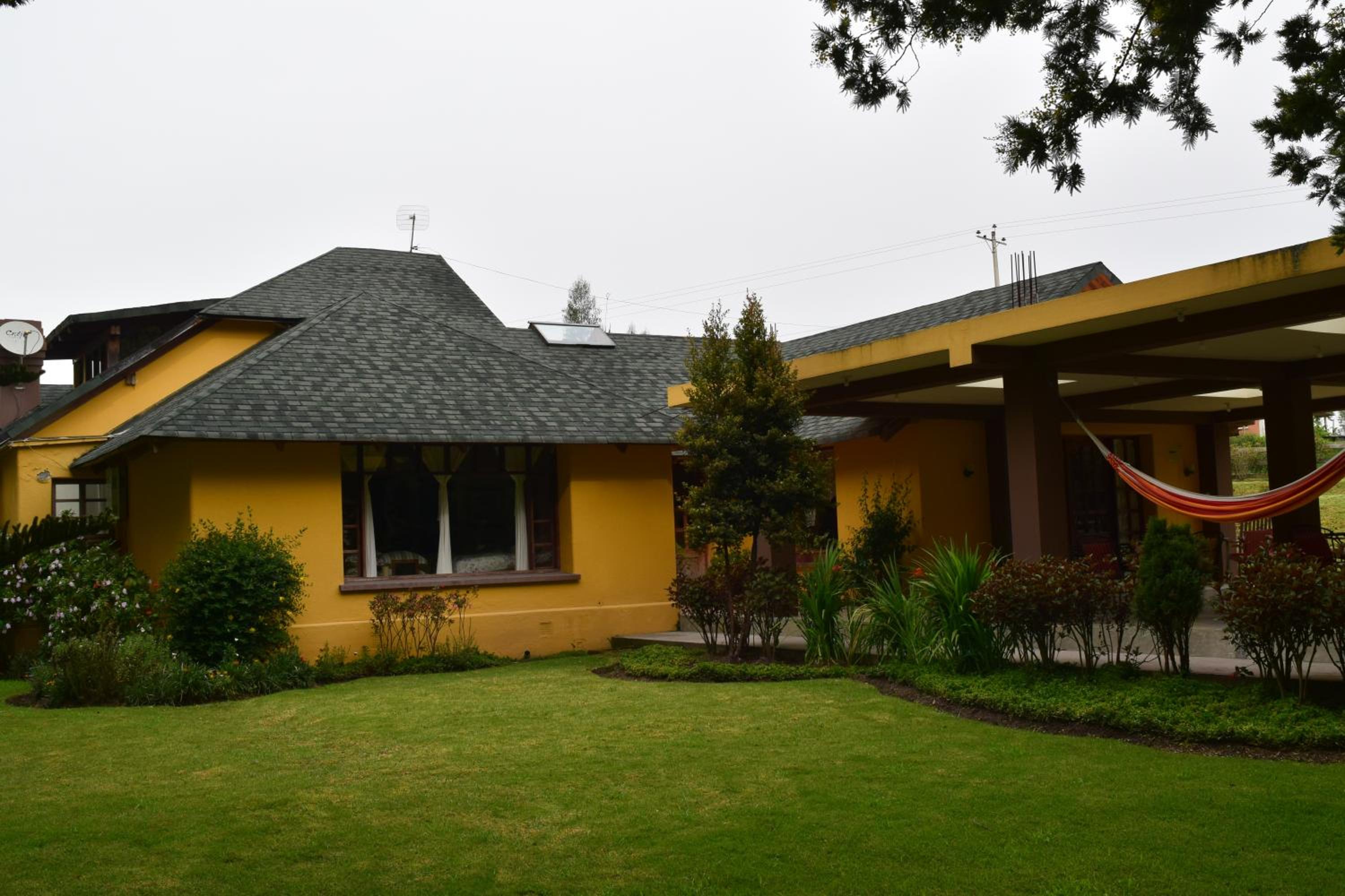Photo 19