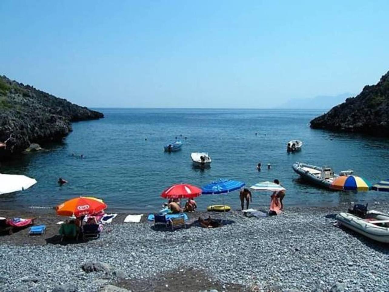 Photo 42