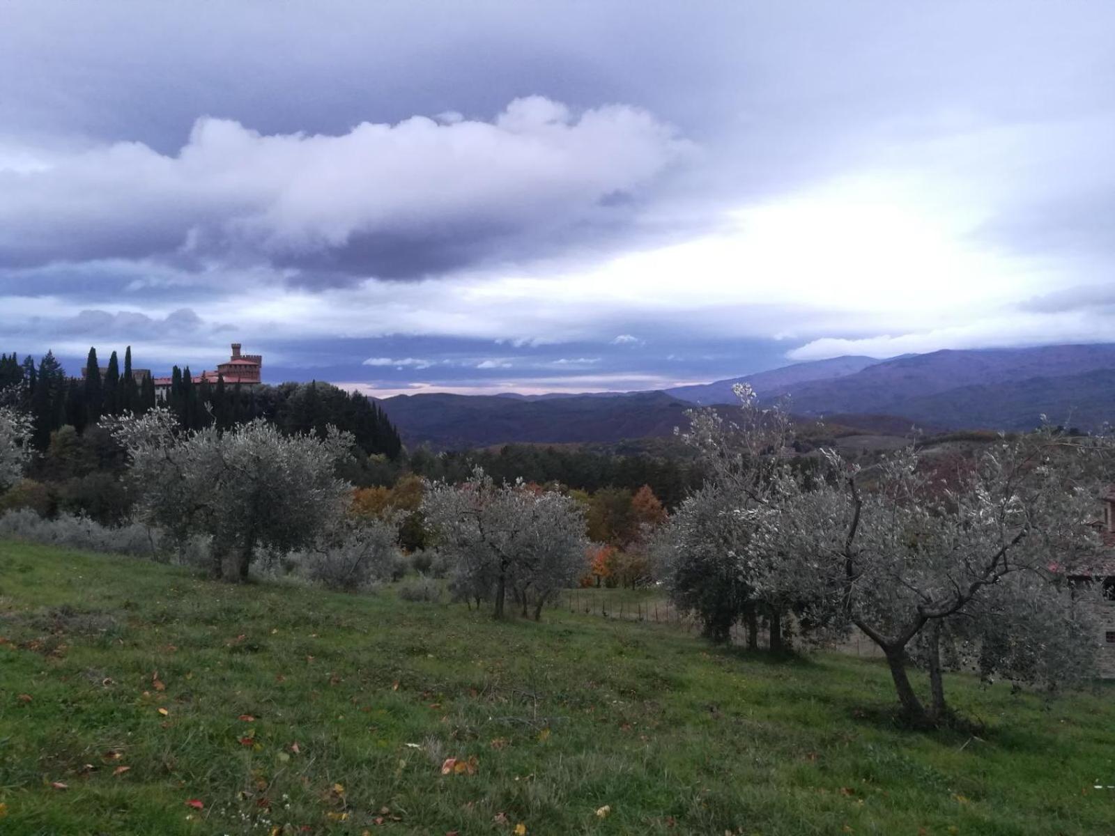 Castello di Valenzano