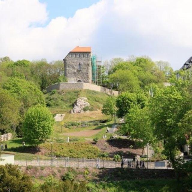 Photo 25