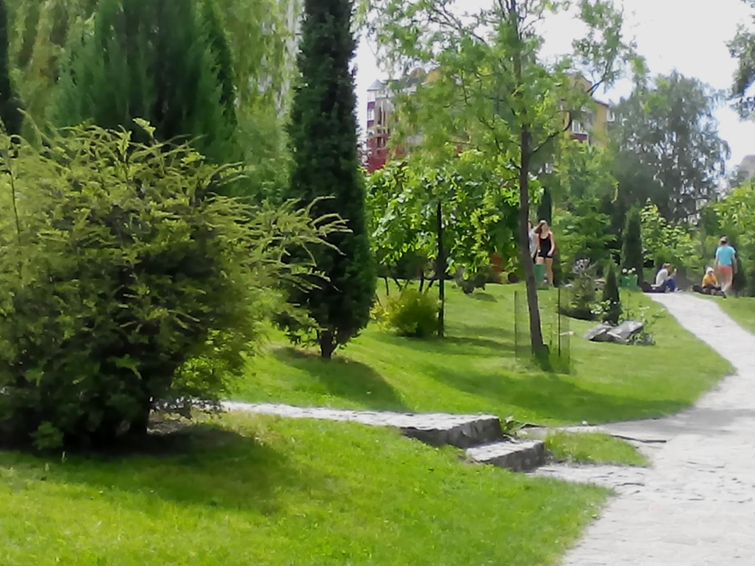 Photo 25
