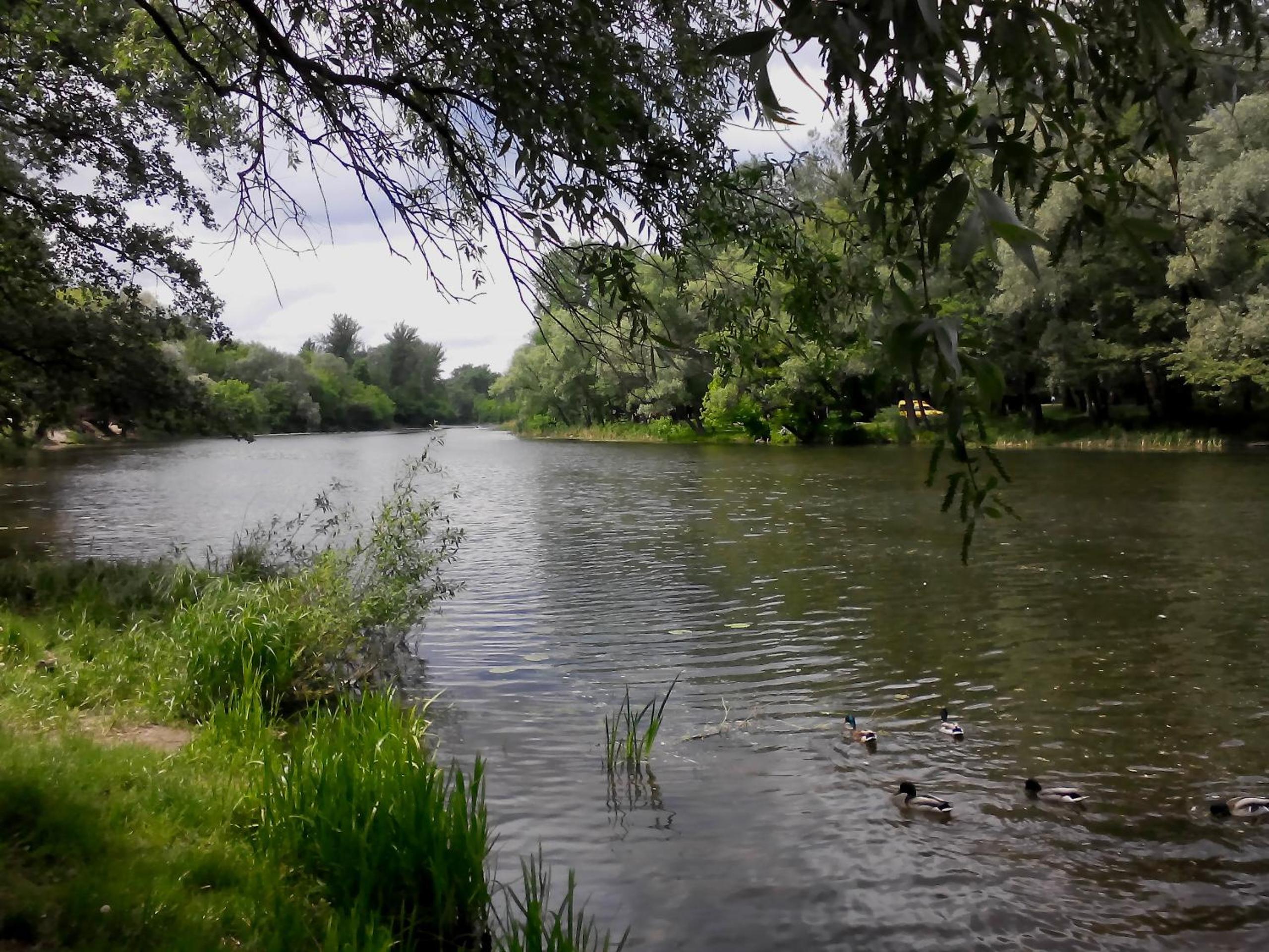 Photo 27