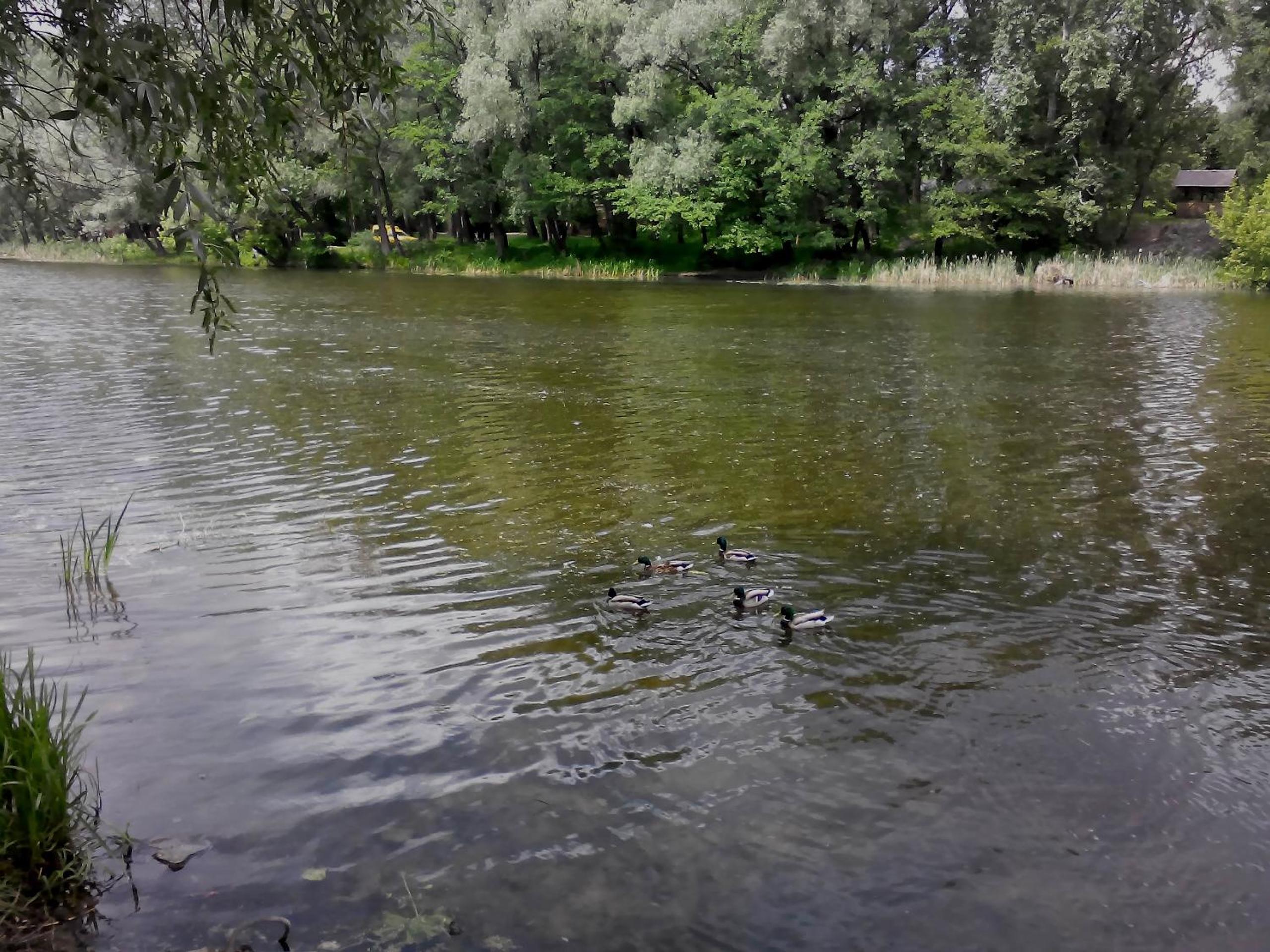 Photo 32