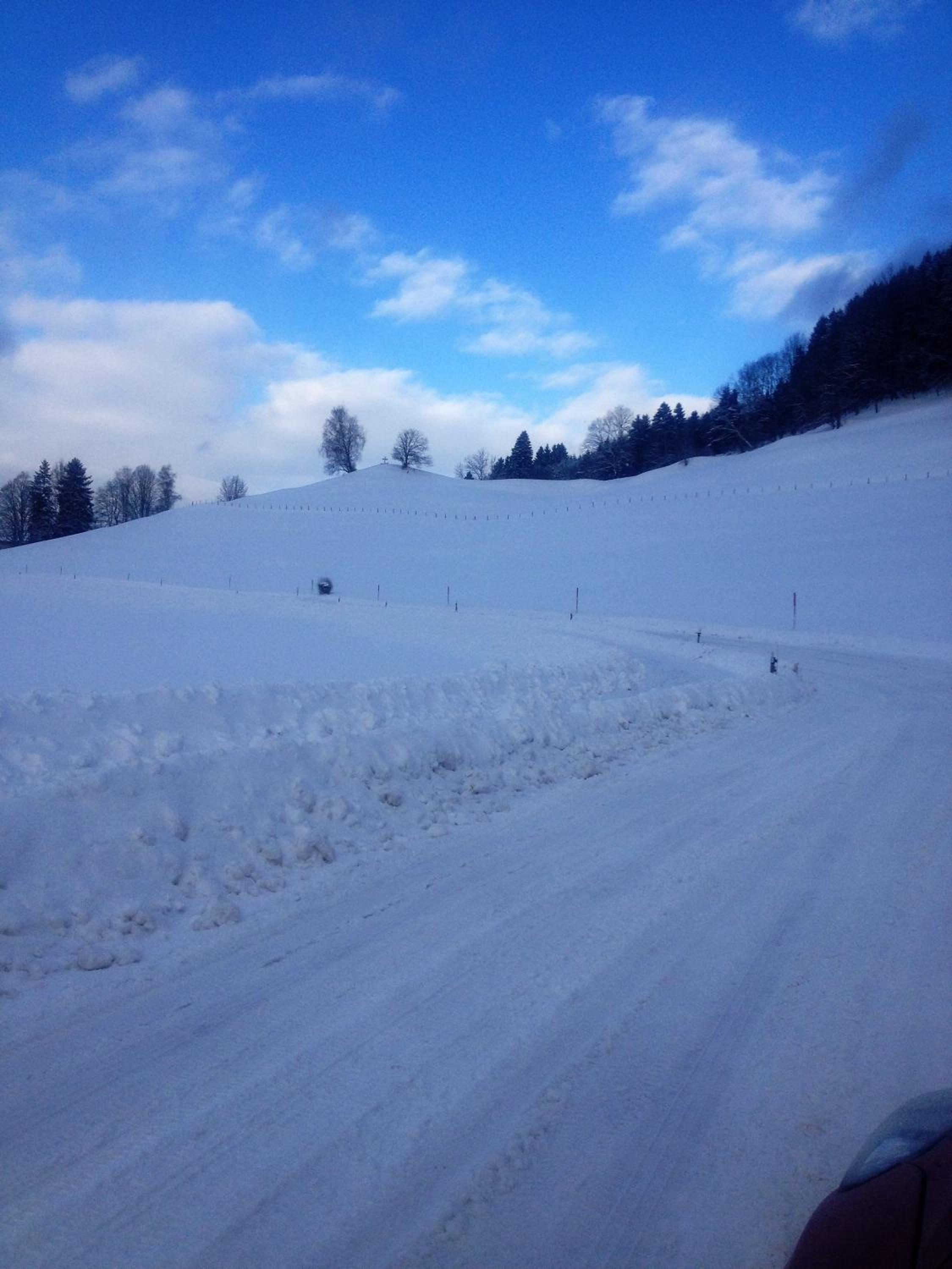 Photo 41