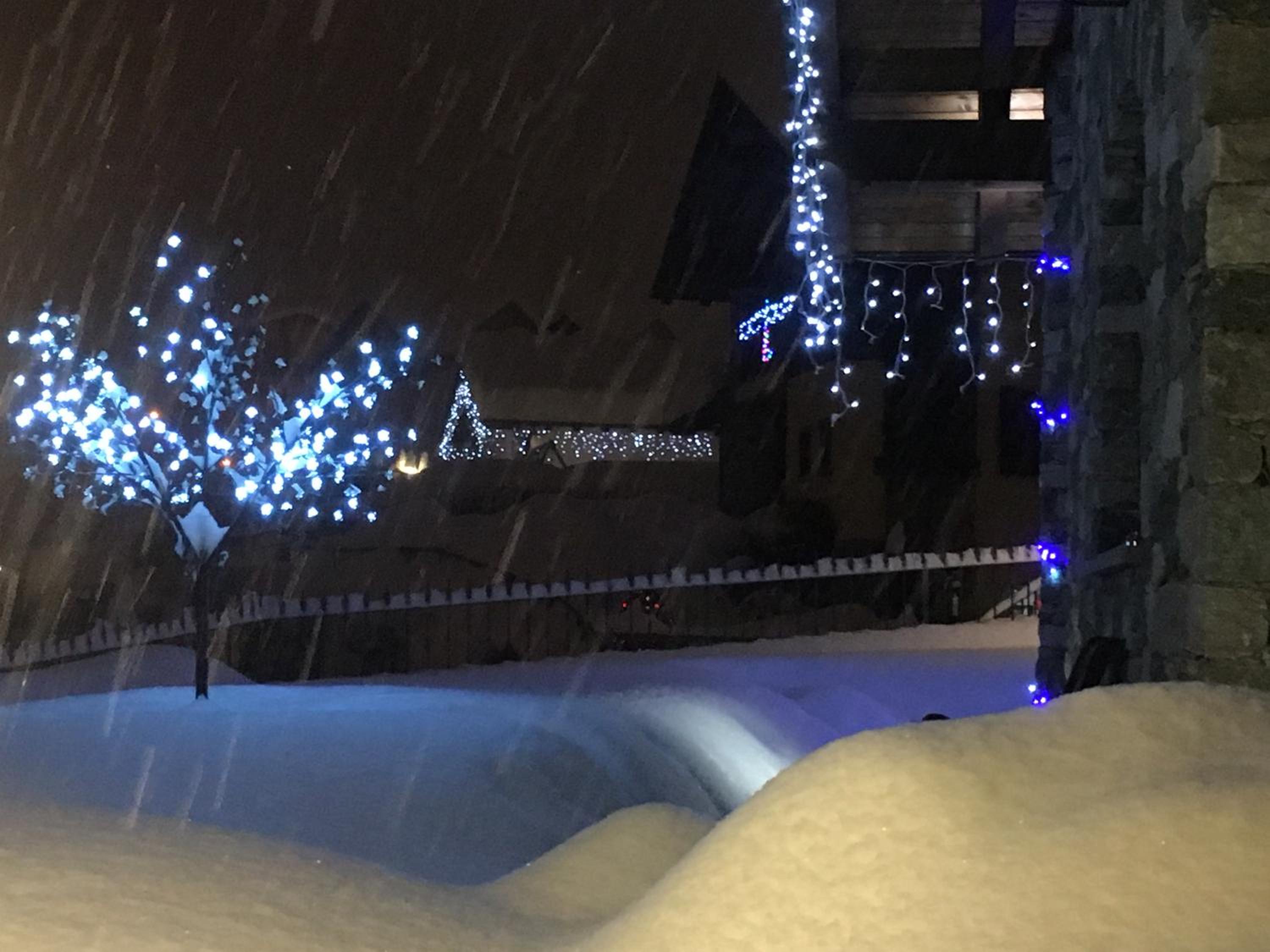 Appartamento Fleur Des Neiges view 3