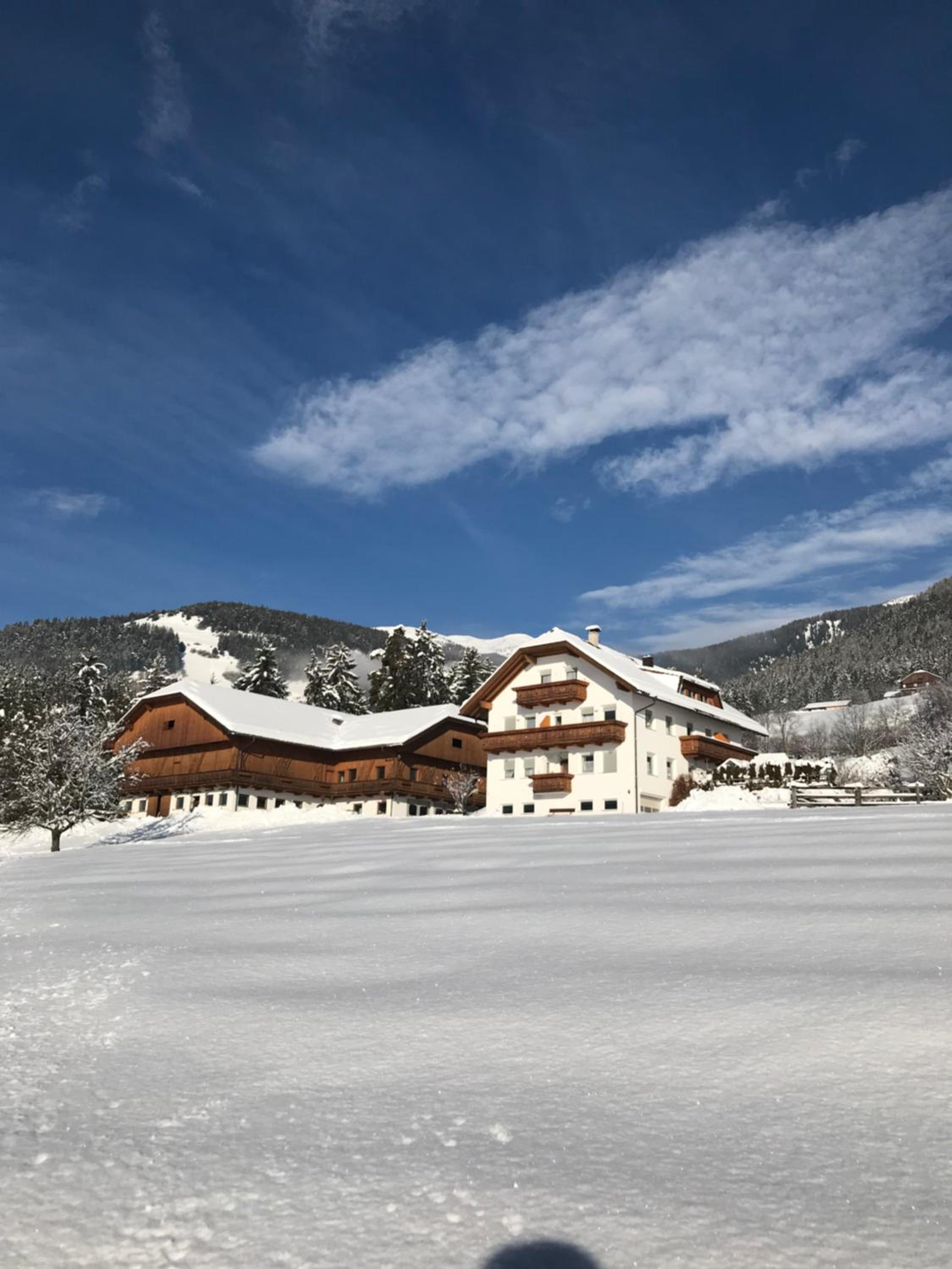 Niederhaeusererhof photo 5