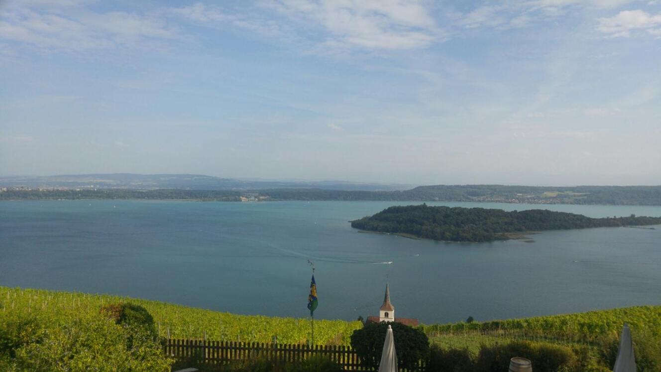 Ferien auf dem Weingut view 2