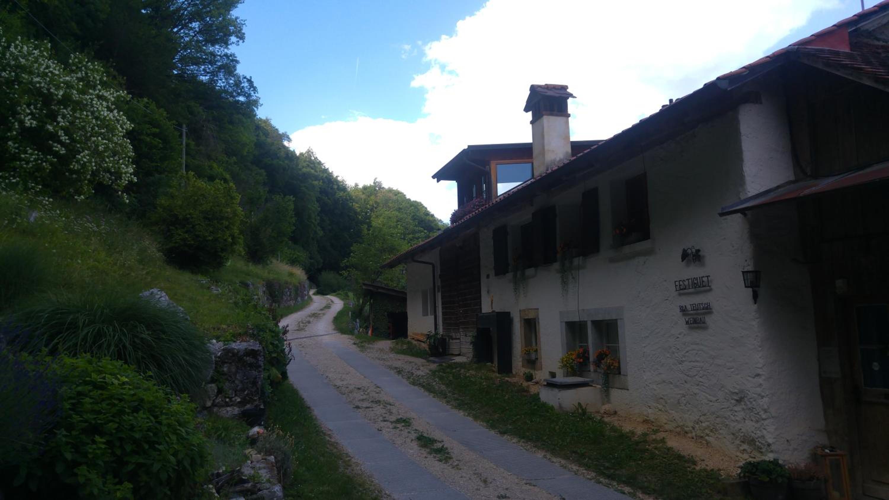 Ferien auf dem Weingut view 3