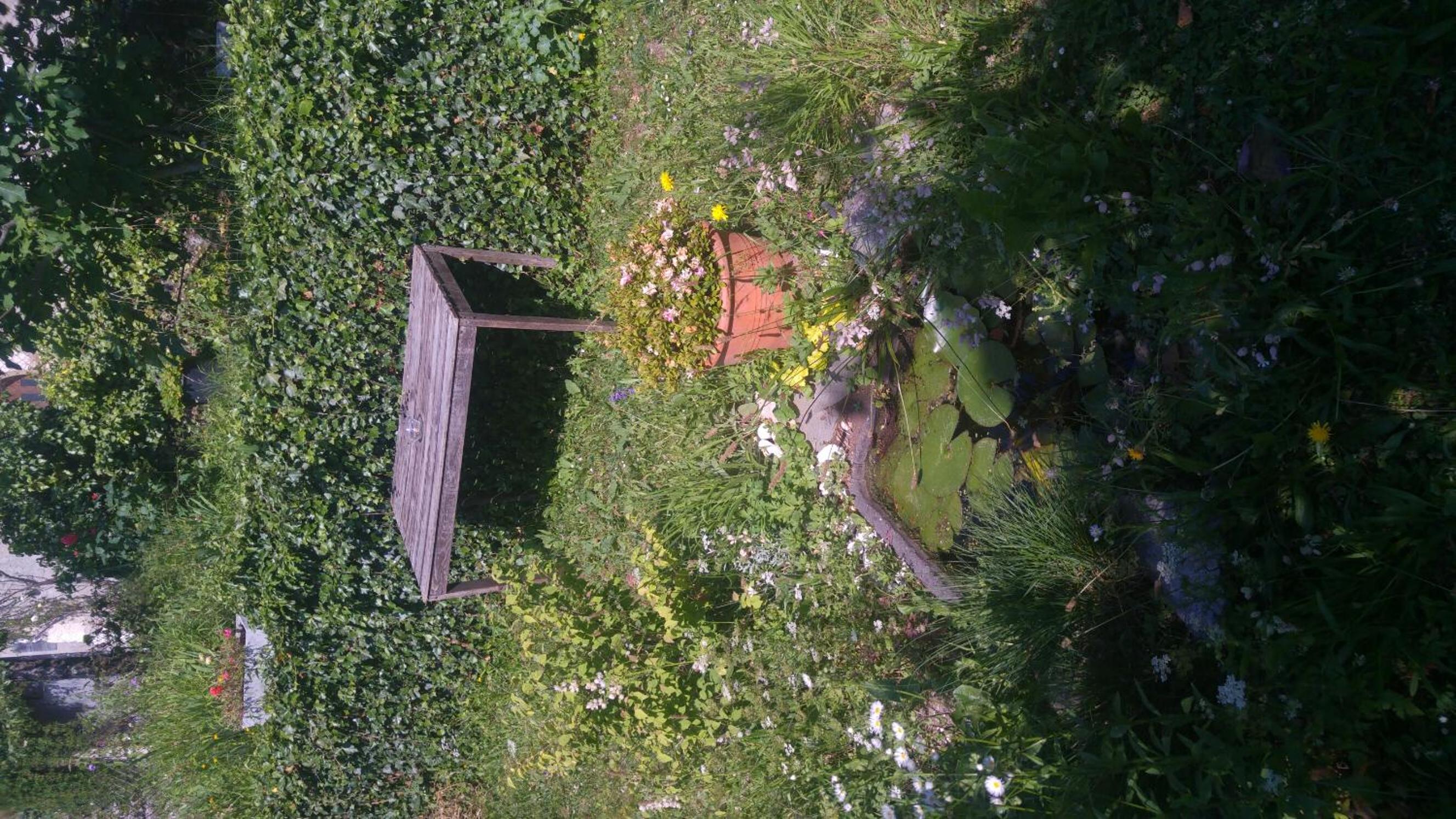 Ferien auf dem Weingut view 5