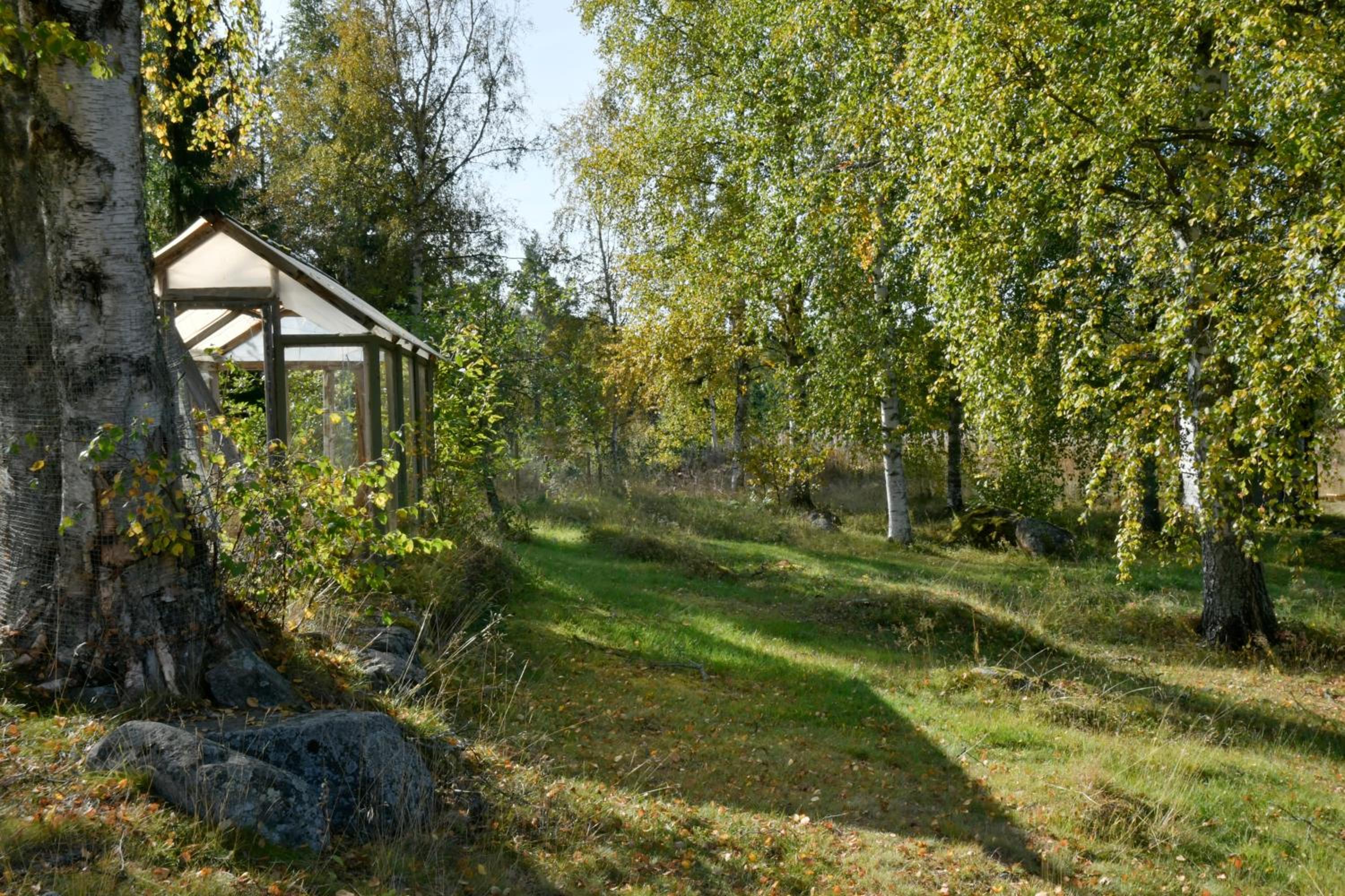 Photo 21