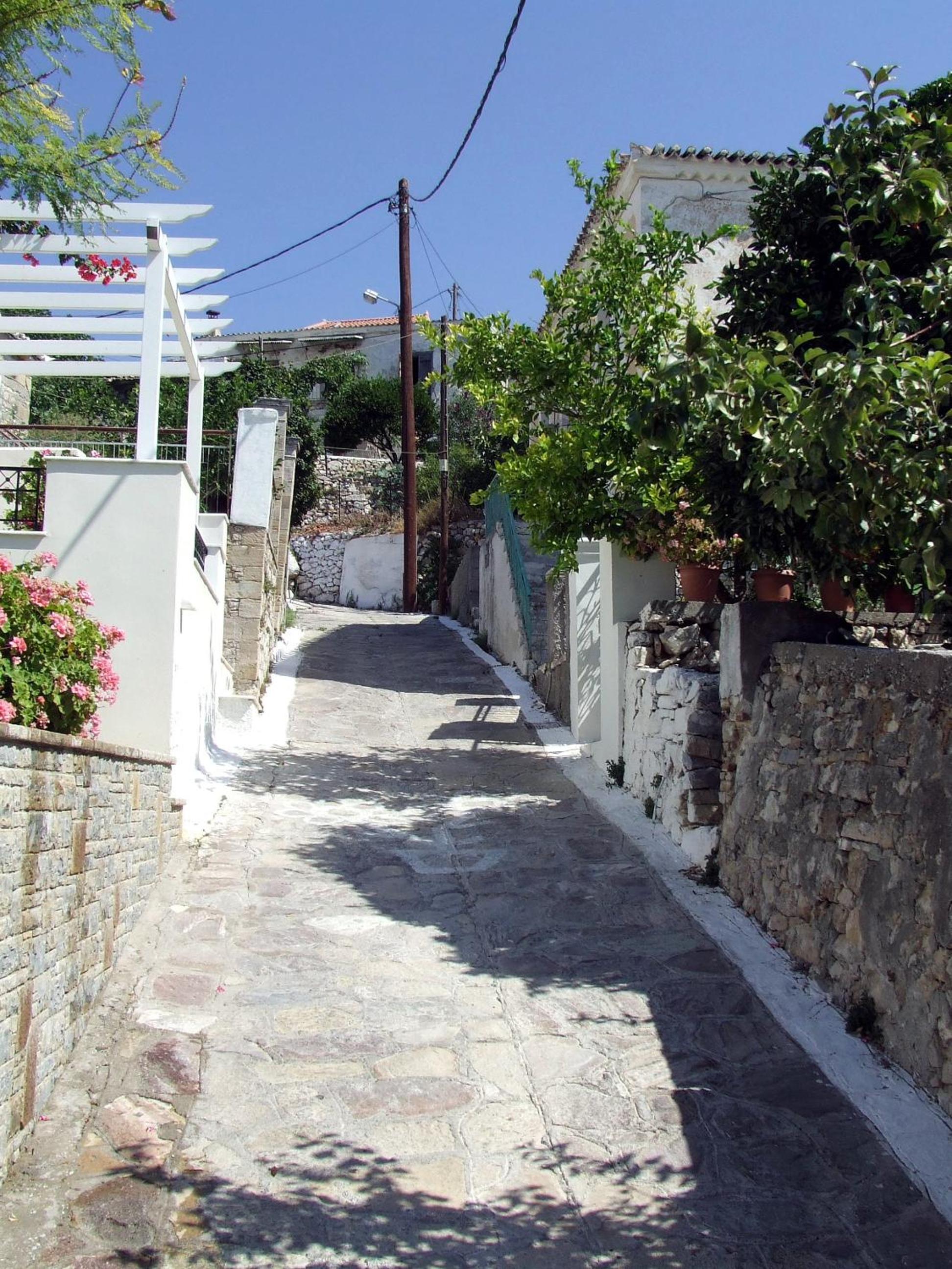 Photo 42