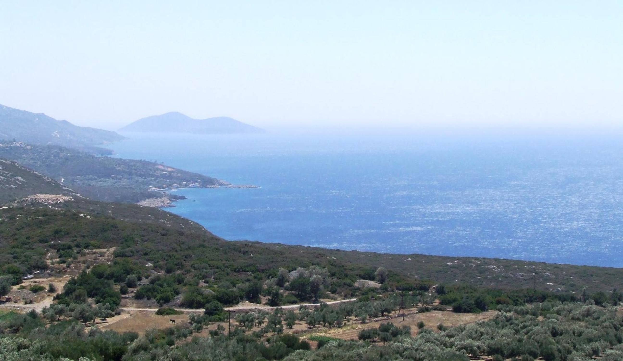 Photo 41