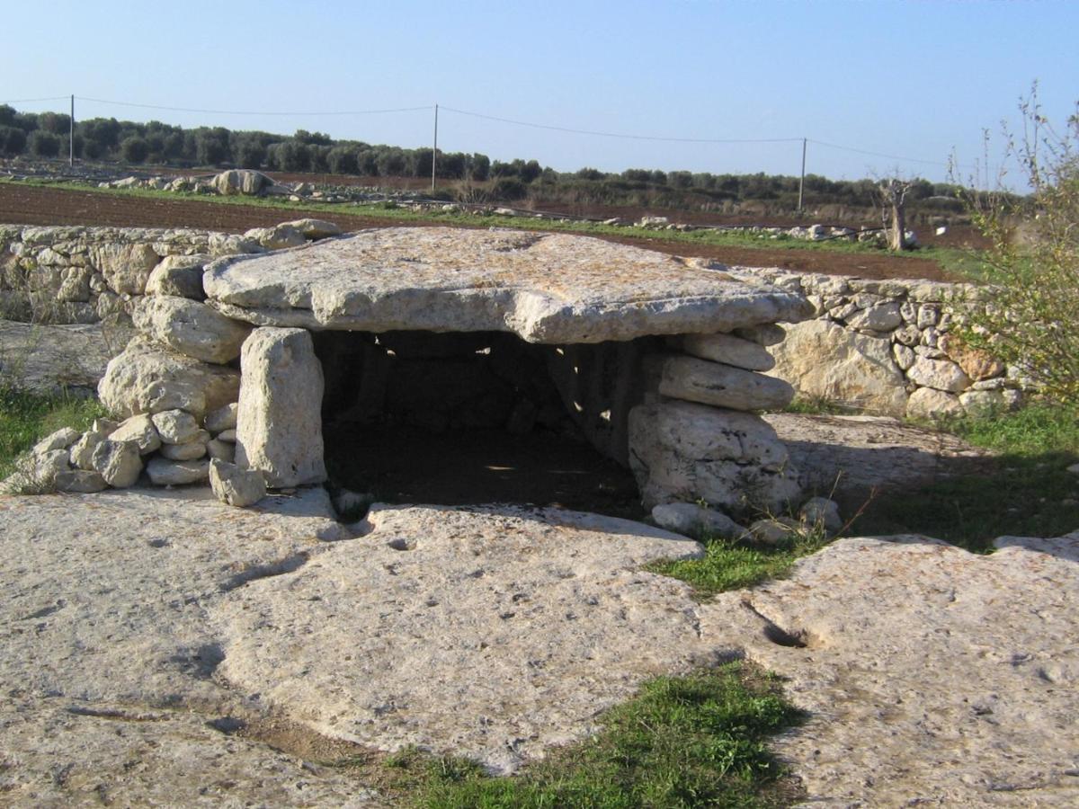 Photo 40