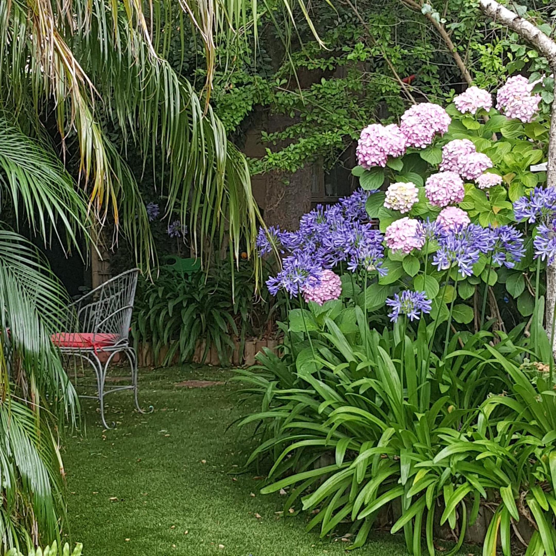 Water Bay Villa Bed & Breakfast