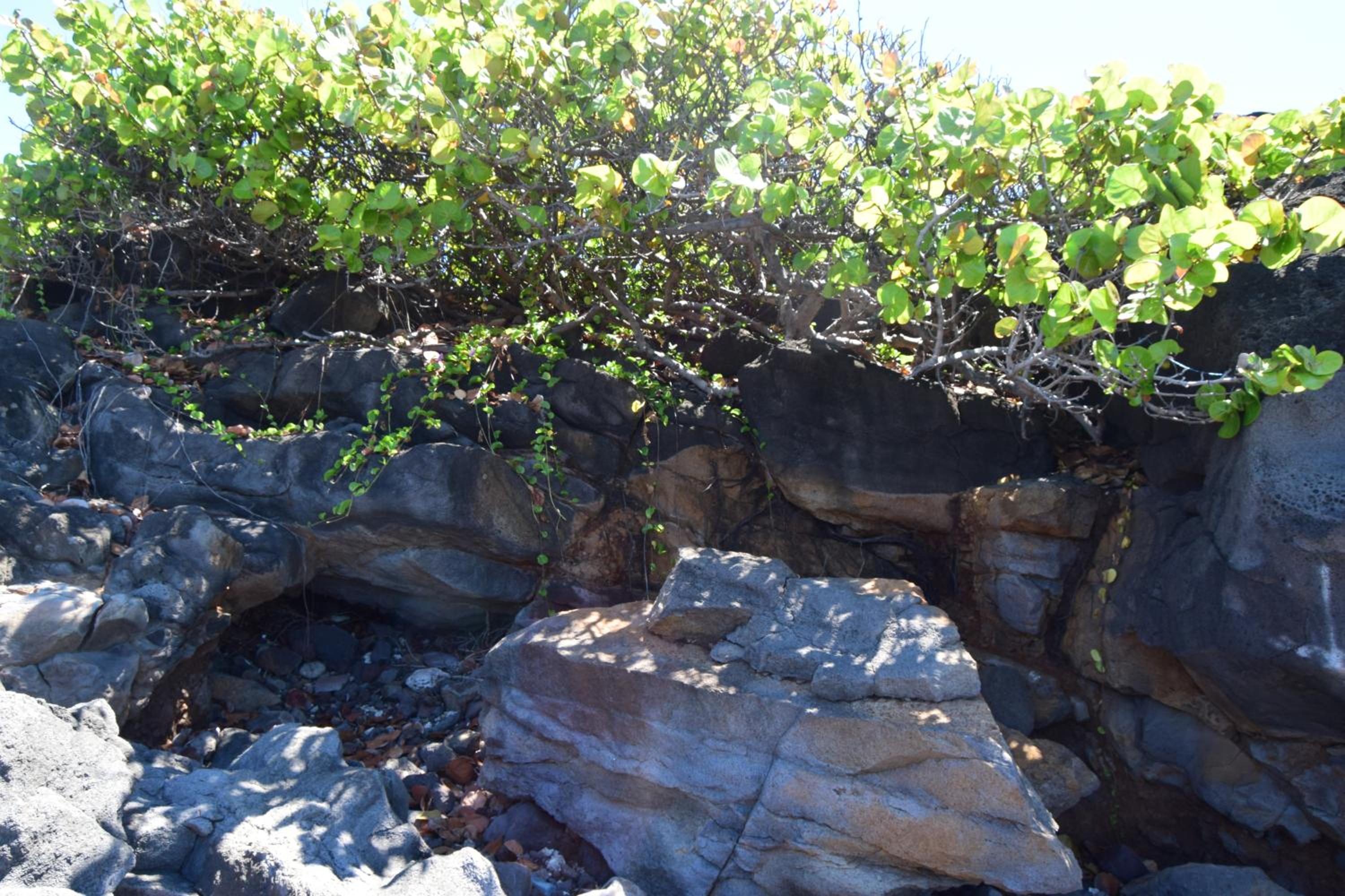 Photo 46