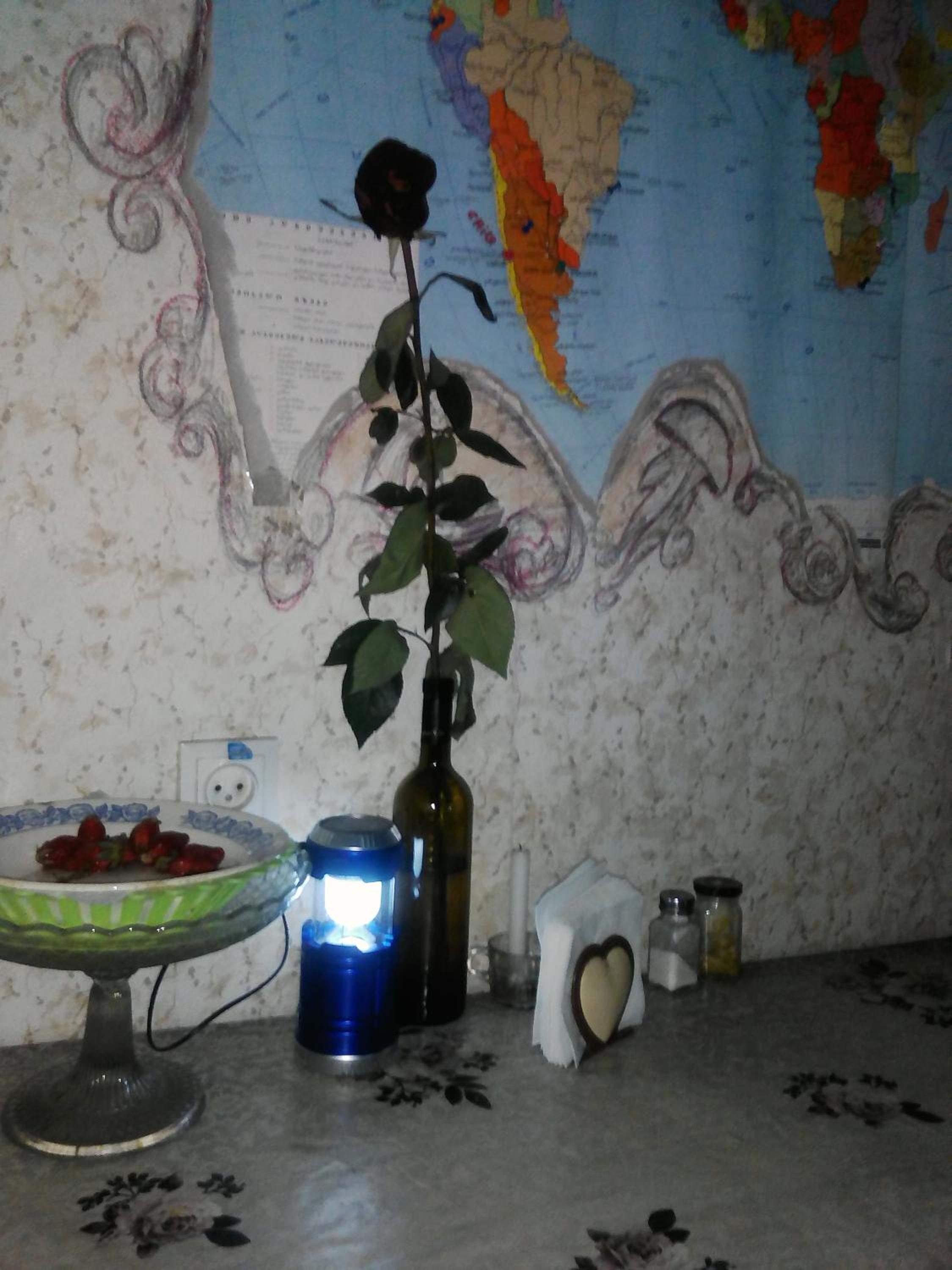 Photo 19