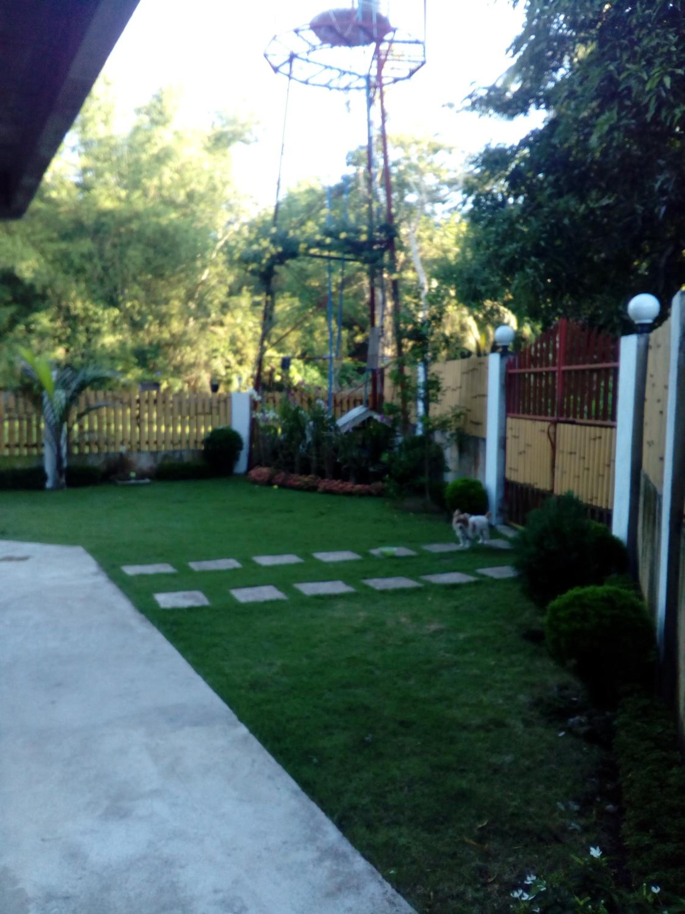 Photo 33