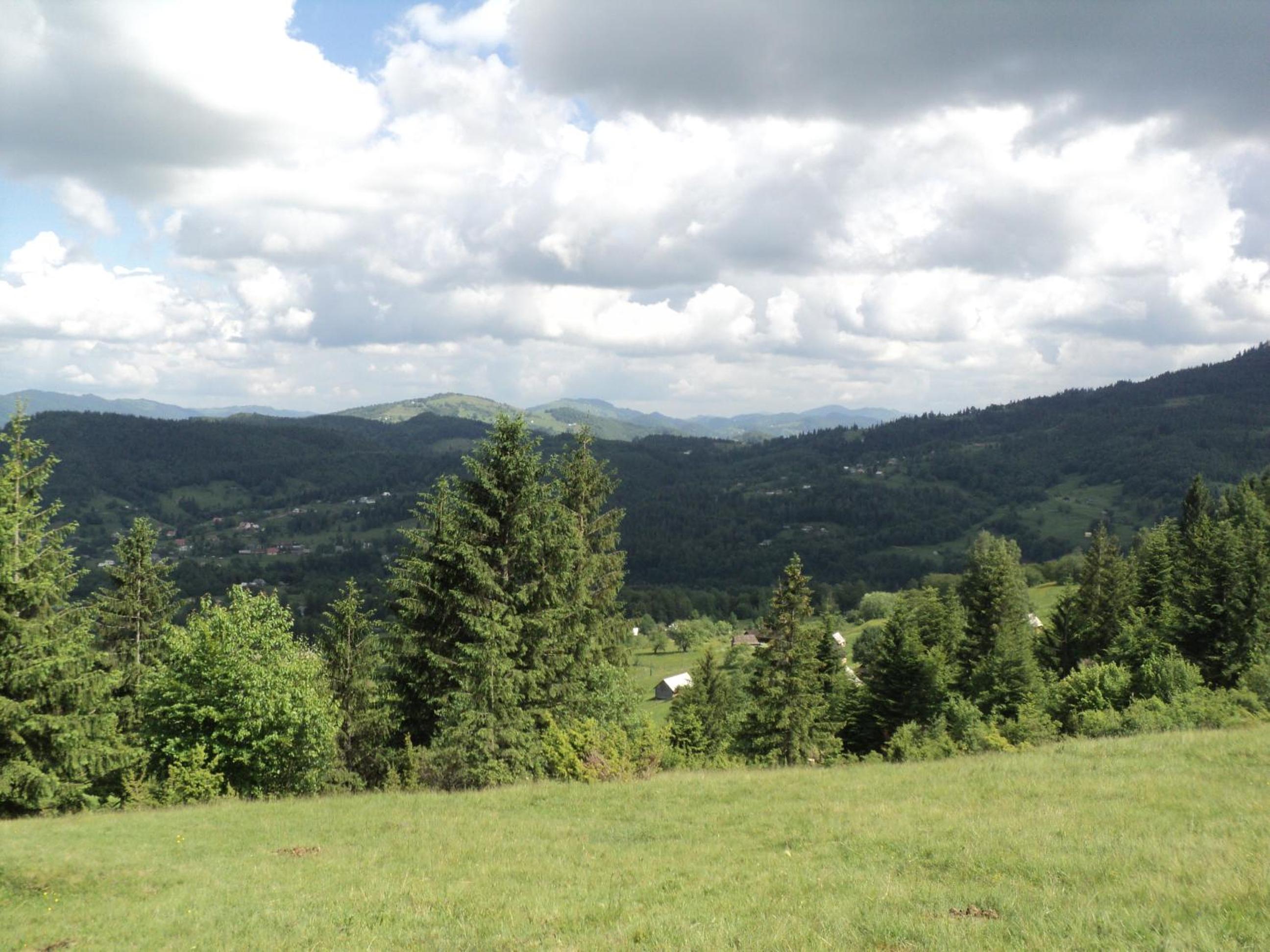 Kosmatska pusanka
