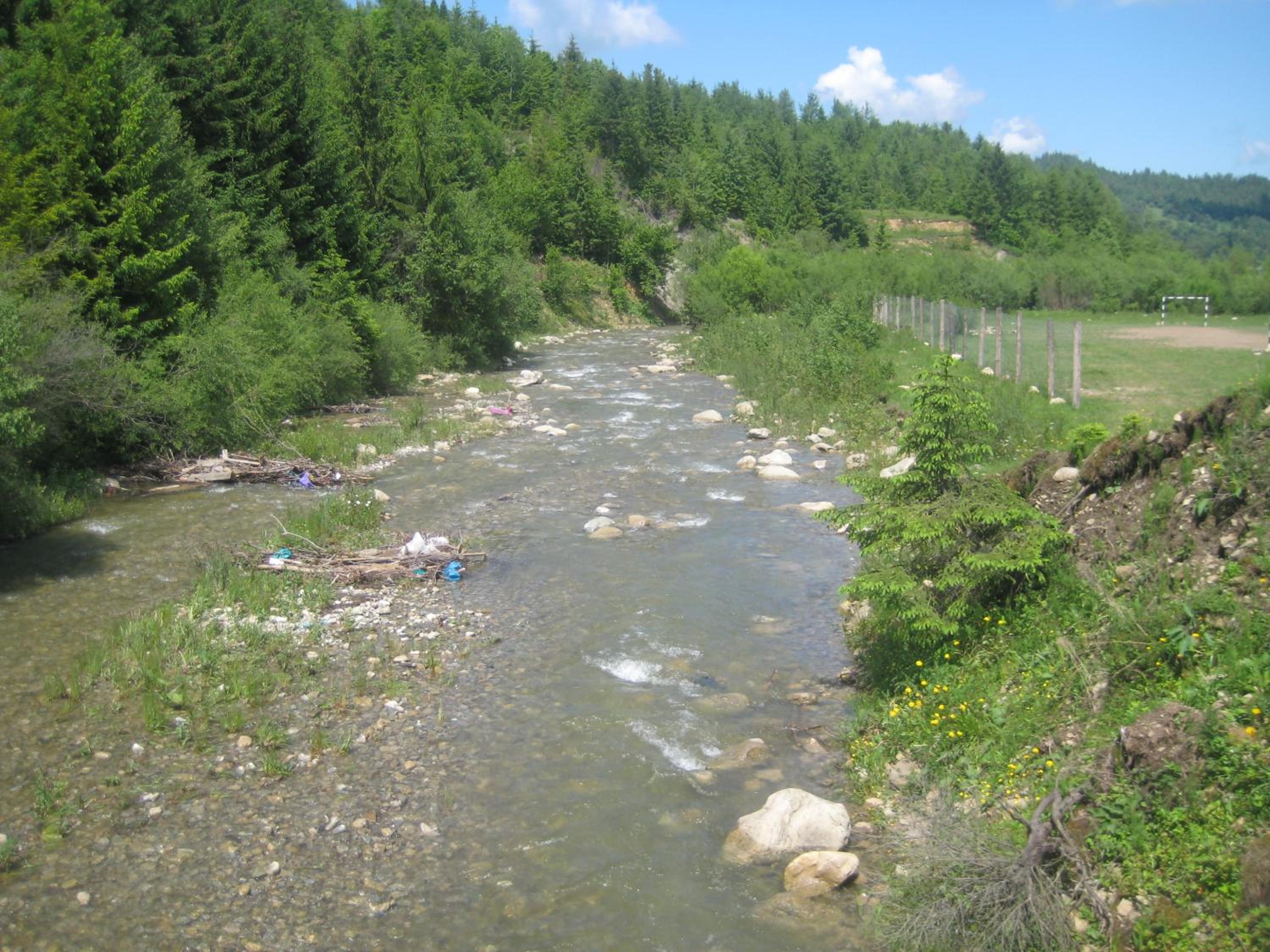 Kosmatska pusanka