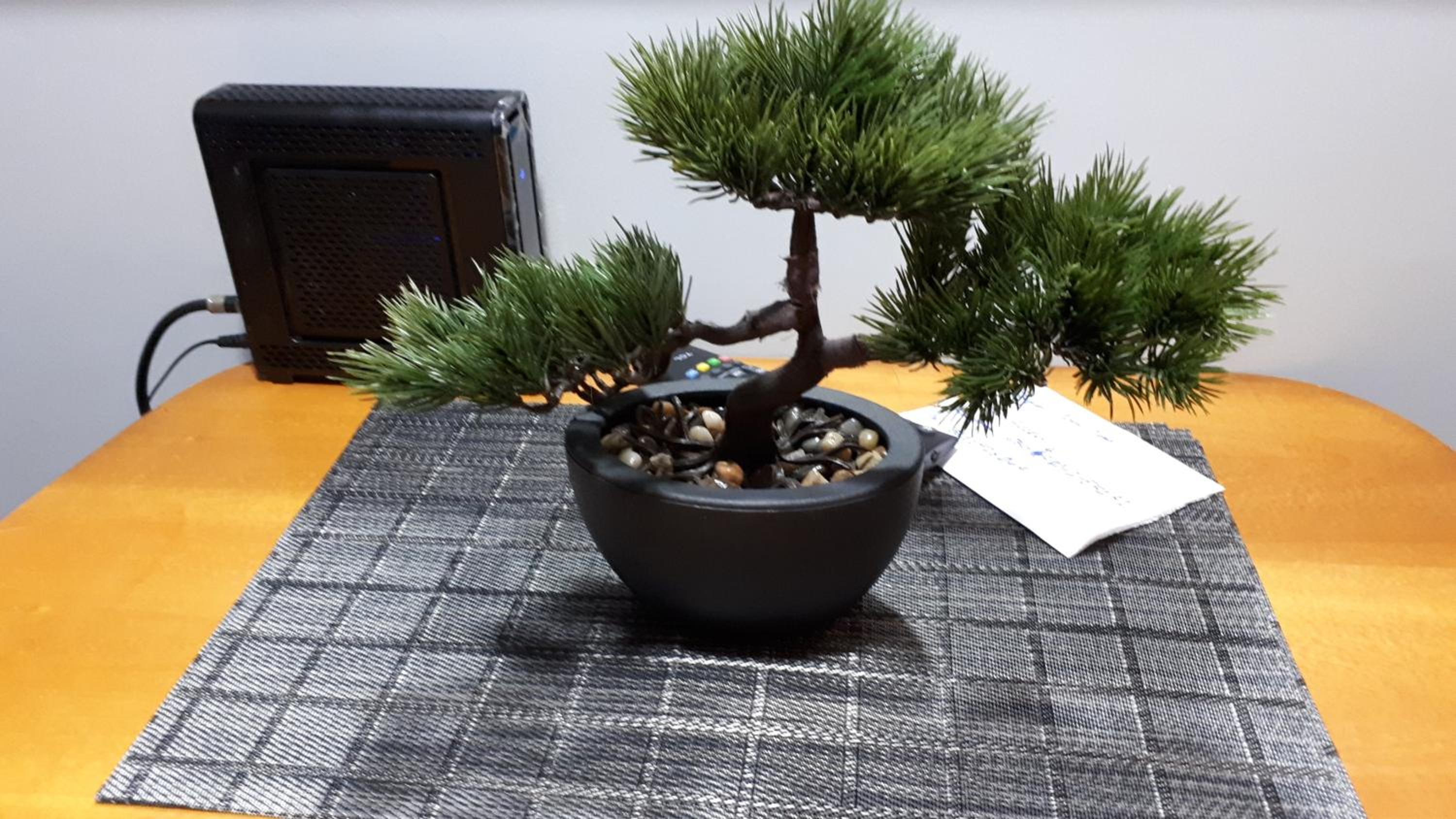 Photo 15