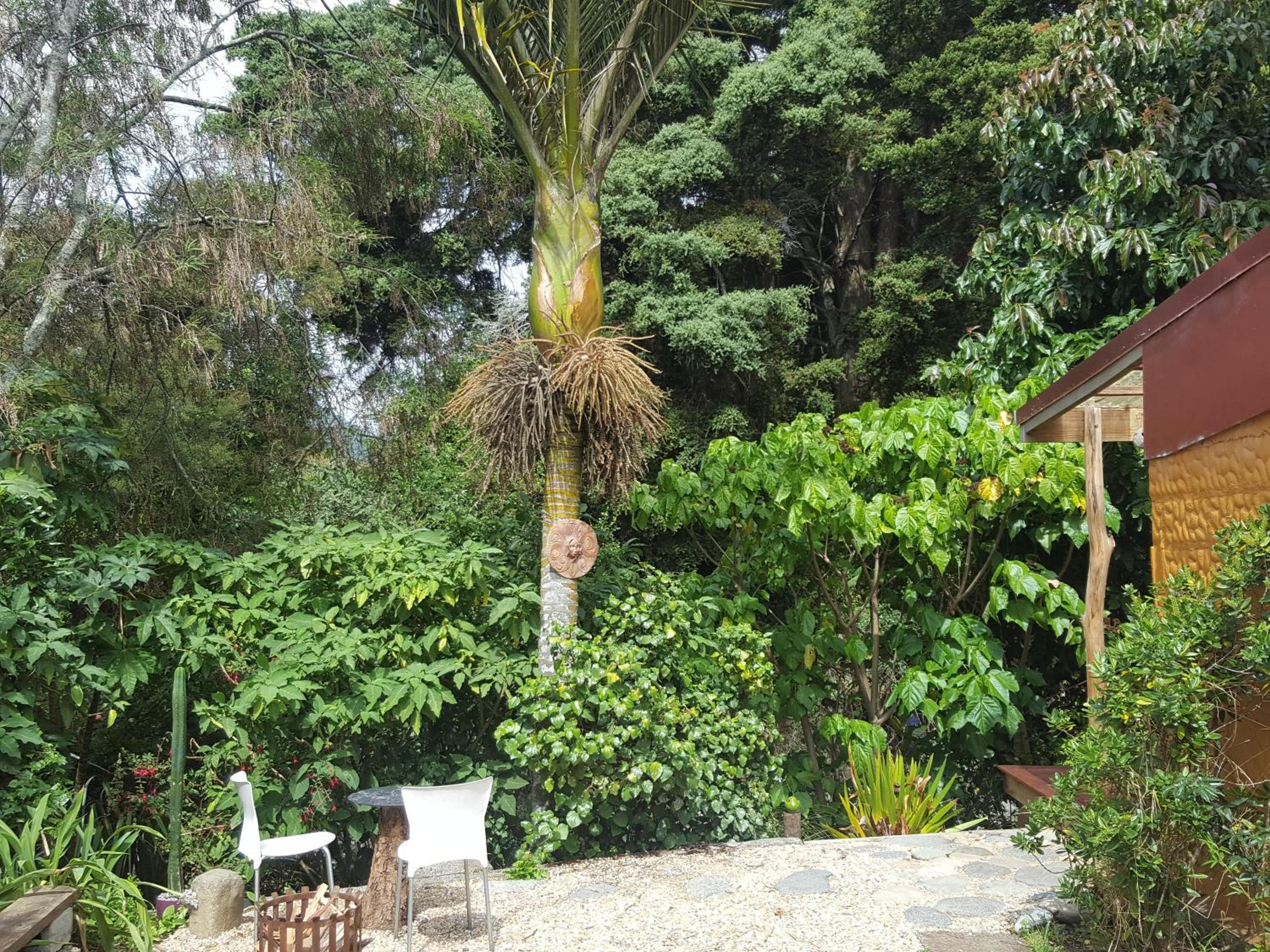 Photo 7
