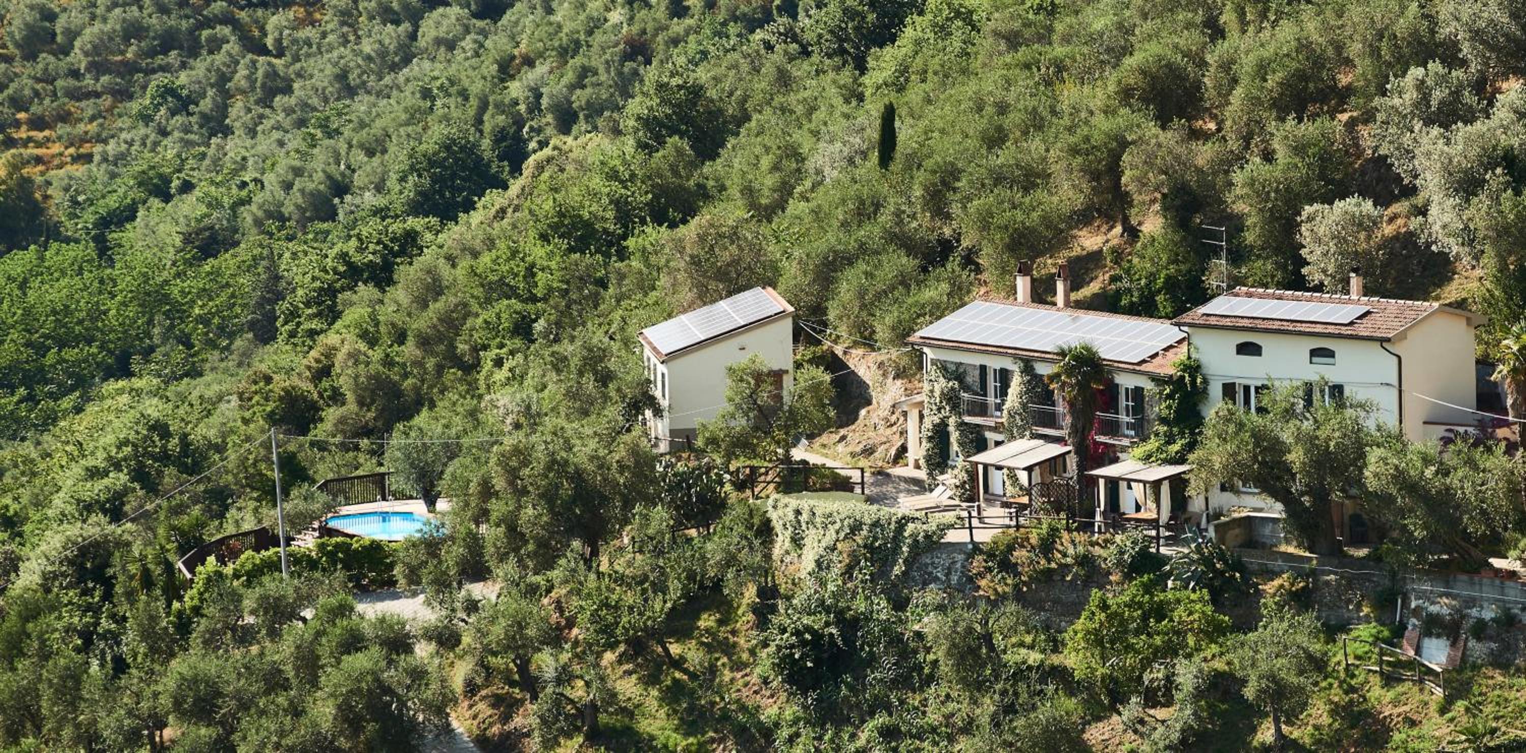 La Lucertola
