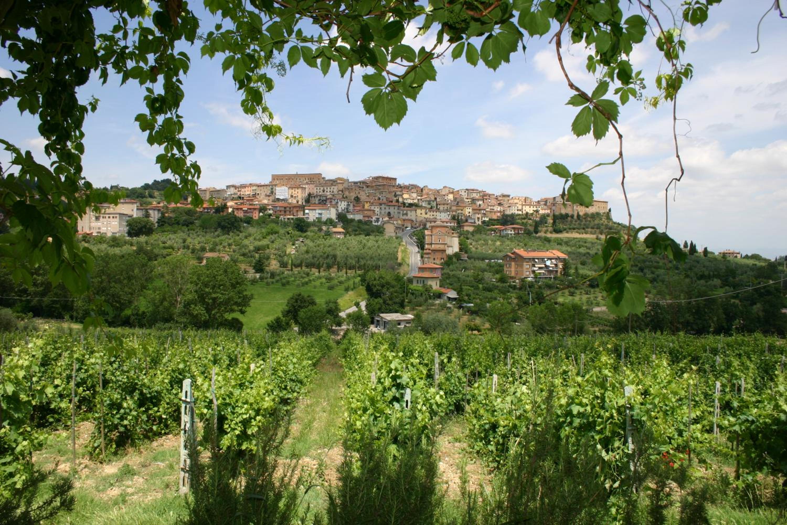 Agriturismo La Pietriccia