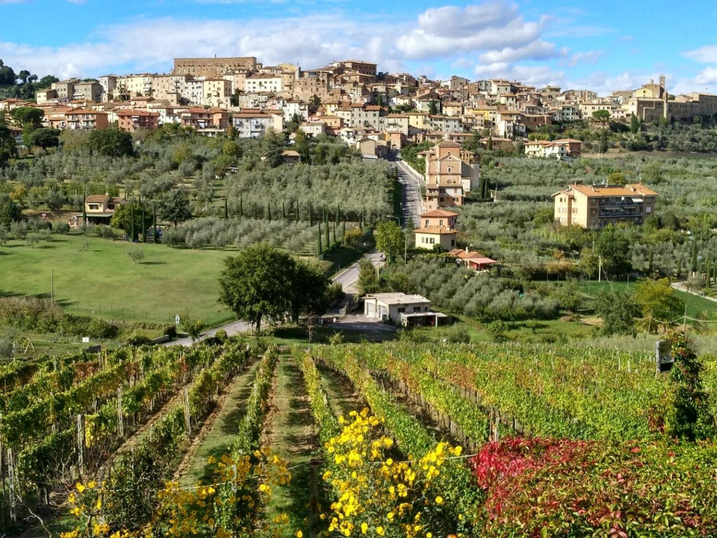 Agriturismo La Pietriccia